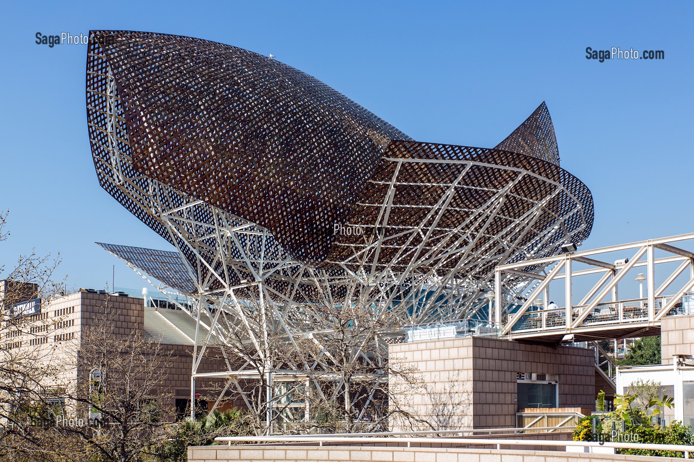 LA BALEINE DE BRONZE (BALENA IN BRONZO) DE L'ARCHITECTE FRANCK GEHRY, PASSEIG MARITIM DE LA BARCELONETA, BARCELONE, CATALOGNE, ESPAGNE 