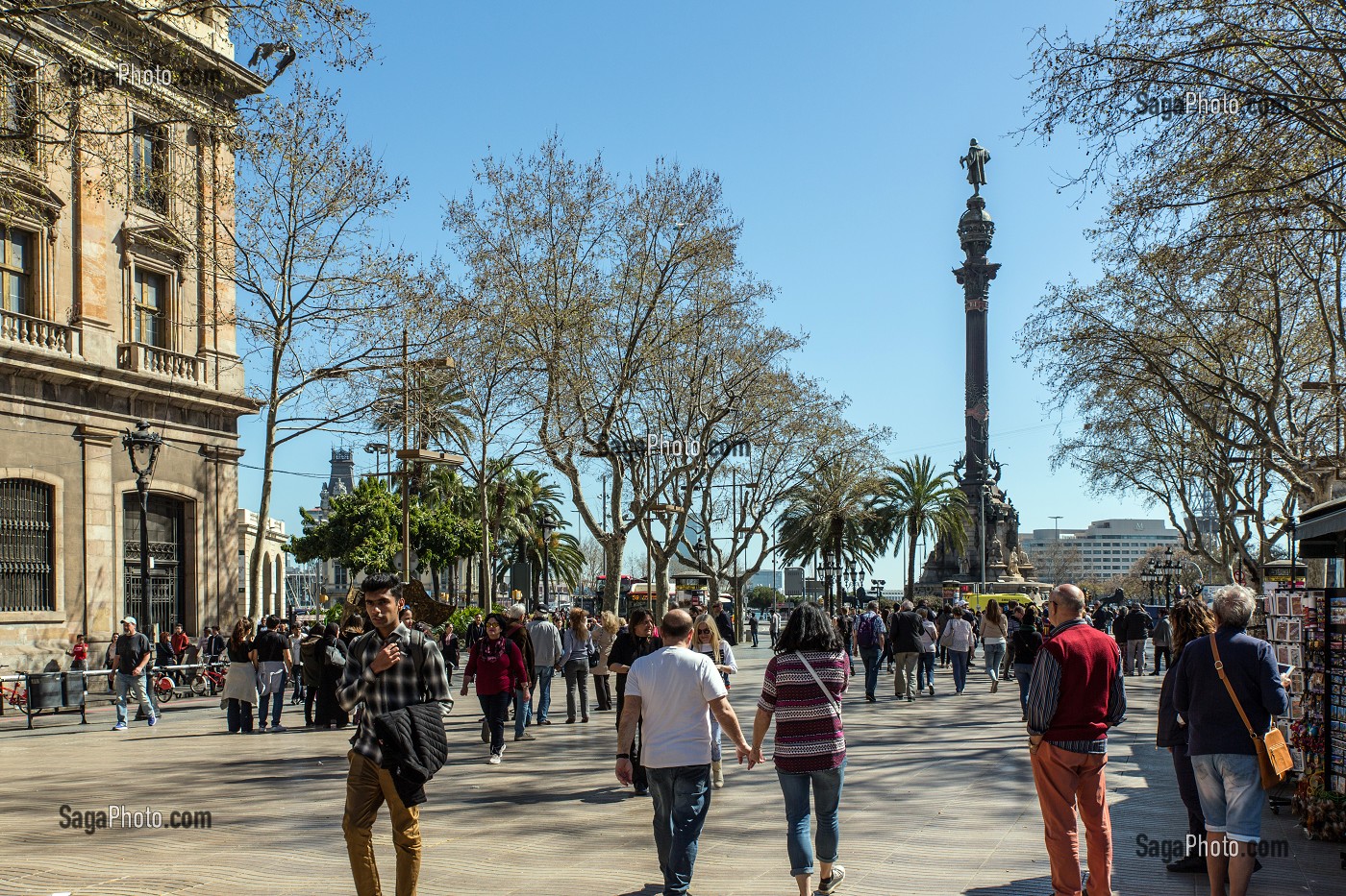 ALLEE DES RAMBLAS AVEC LE MONUMENT DEDIE A CHRISTOPH COLOMB, LA RAMBLA, PLACA REIAL, BARCELONE, CATALOGNE, ESPAGNE 