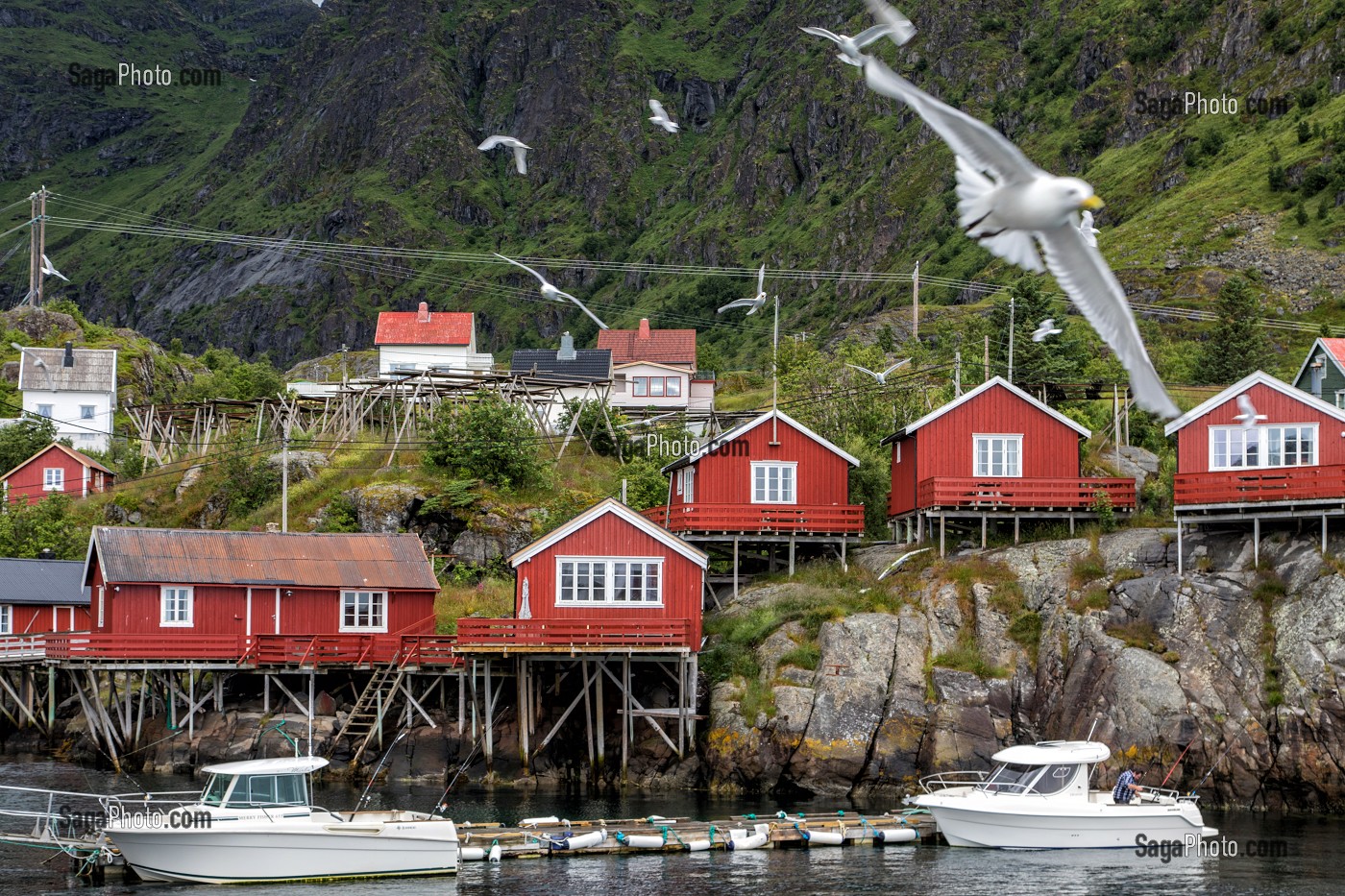 MAISONS TRADITIONNELLES EN BOIS DE COULEUR ROUGE, VILLAGE MUSEE DE PECHEURS DE A (NORSK FISKEVAERSMUSEUM), ILES LOFOTEN, NORVEGE 