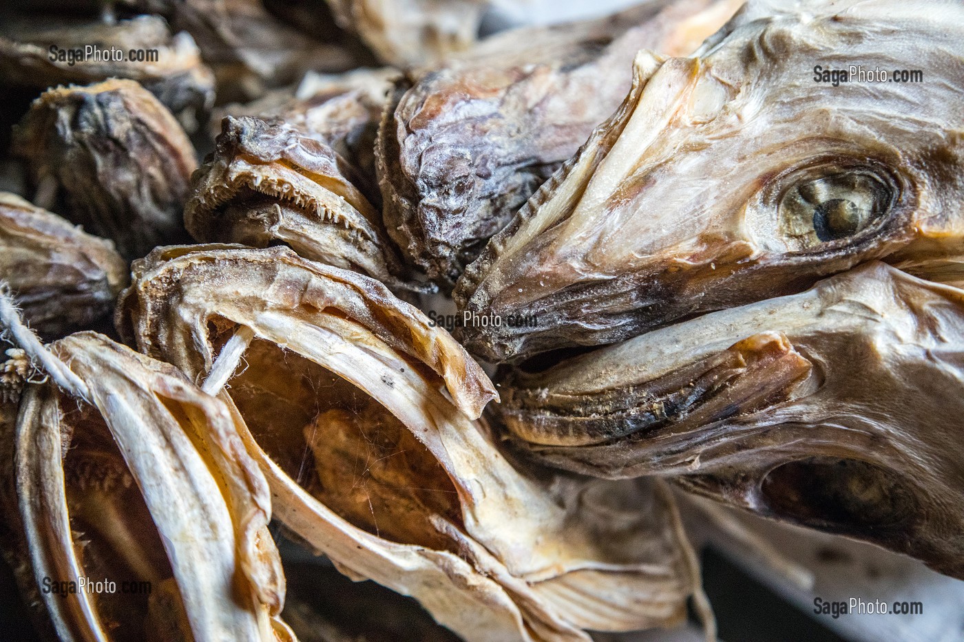 TETES DE MORUE SECHEES DESTINEES A ETRE ECRASE POUR L'EXPORTATION EN AFRIQUE CONSOMMEES DANS LA SOUPE, ILES LOFOTEN, NORVEGE 