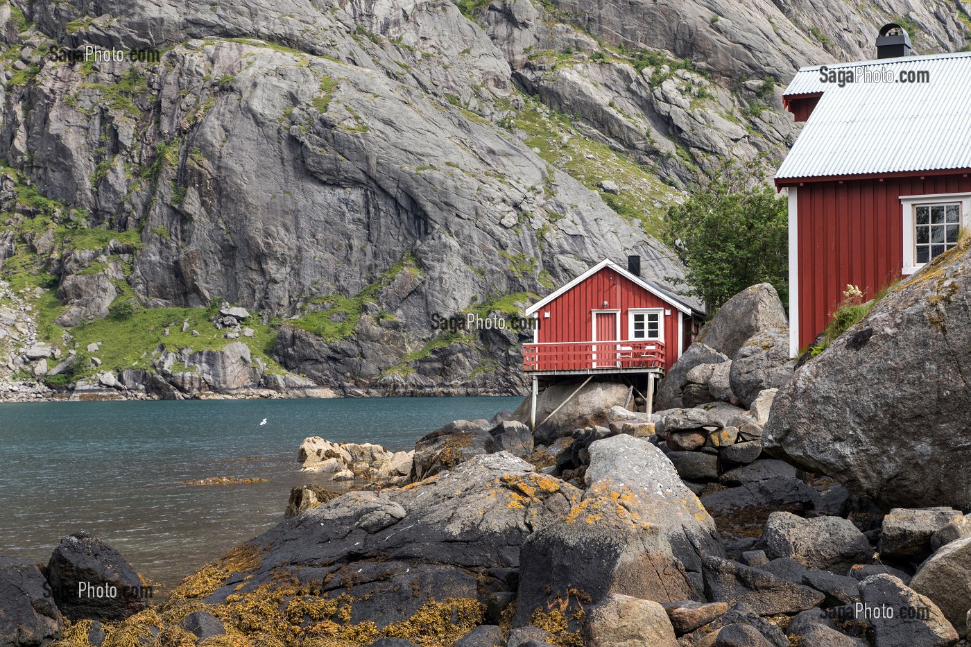MAISONS DE PECHEURS TRADITIONNELLES EN BOIS DE COULEUR ROUGE, NUSFJORD, FJORD DE VESTFJORD, ILES LOFOTEN, NORVEGE 