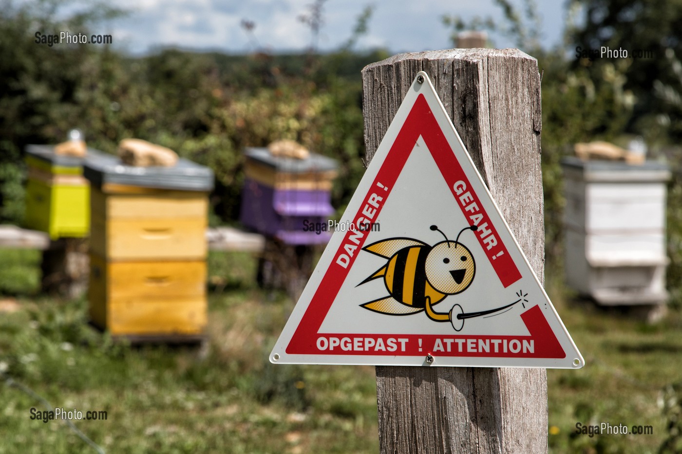 PANNEAU DE DANGER POUR LES ABEILLES AUTOUR D'UN RUCHER, SAONE-ET-LOIRE (71), FRANCE 