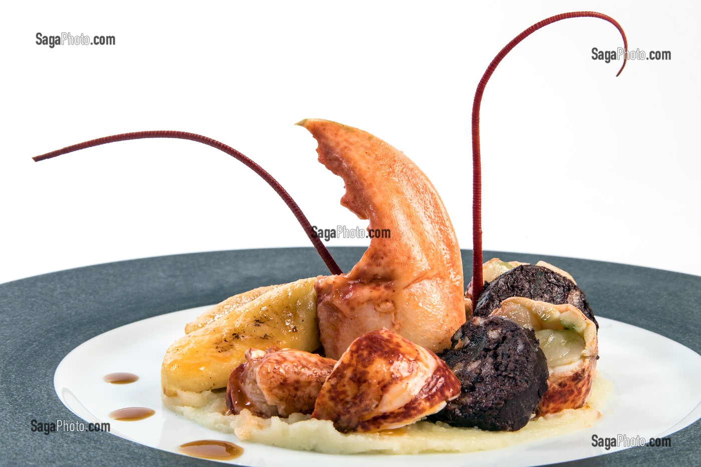 BOUDIN ET HOMARD AUX POMMES, RECETTE DU CHEF ETOILE LAURENT CLEMENT, ATELIER DE CUISINE DU COURS GABRIEL, MARCHE DE SAISON, CHARTRES (28), FRANCE 