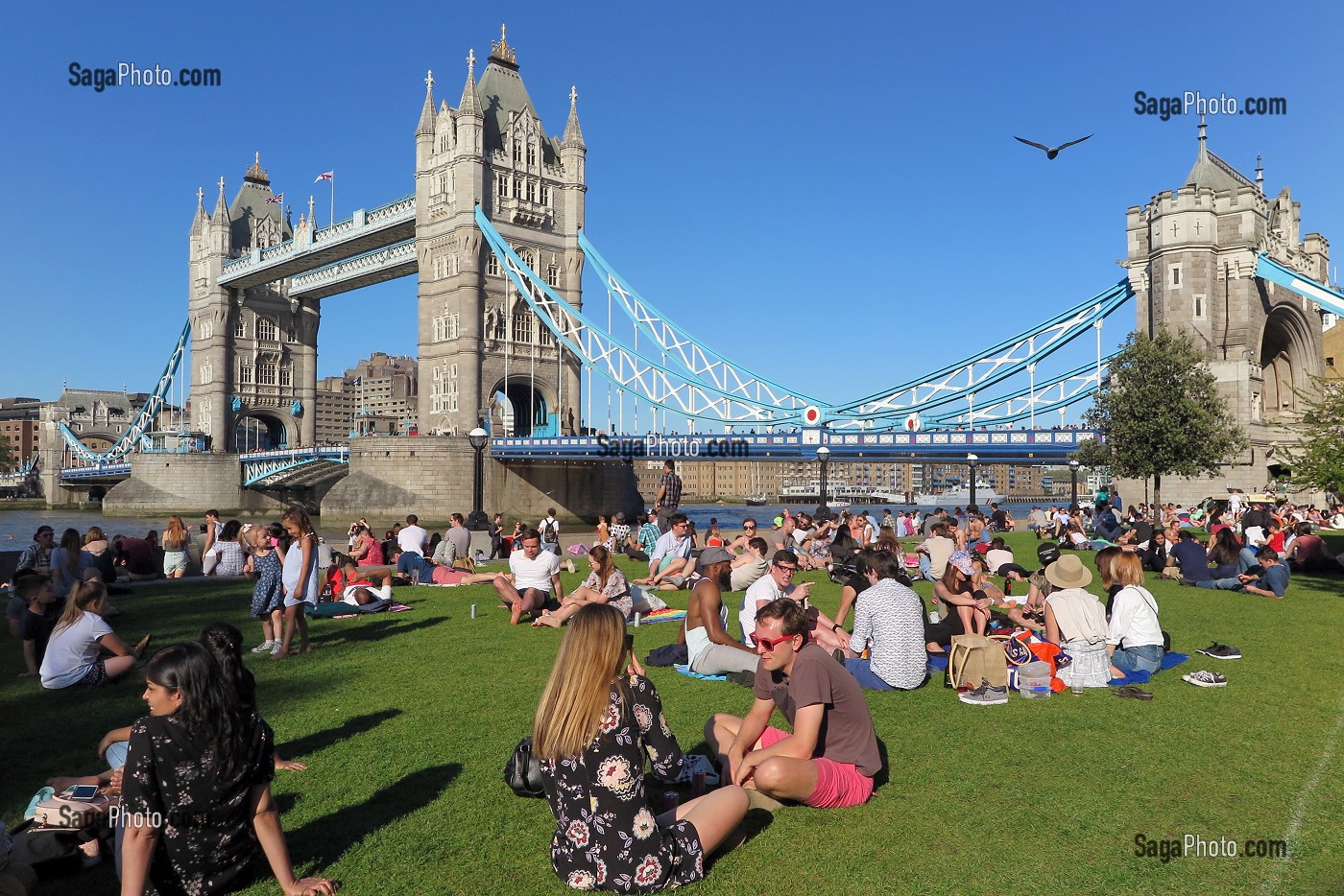 GROUPE DE PERSONNES ASSIS SUR LA PELOUSE DEVANT TOWER BRIDGE, LONDRES, GRANDE-BRETAGNE, EUROPE 