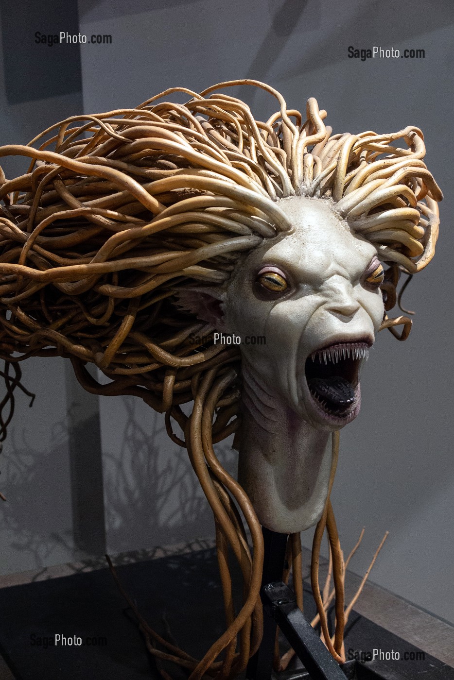 TETE DE SIRENE, STUDIO TOUR LONDON, THE MAKING OF HARRY POTTER, WARNER BROS, LEAVESDEN, ROYAUME UNI 