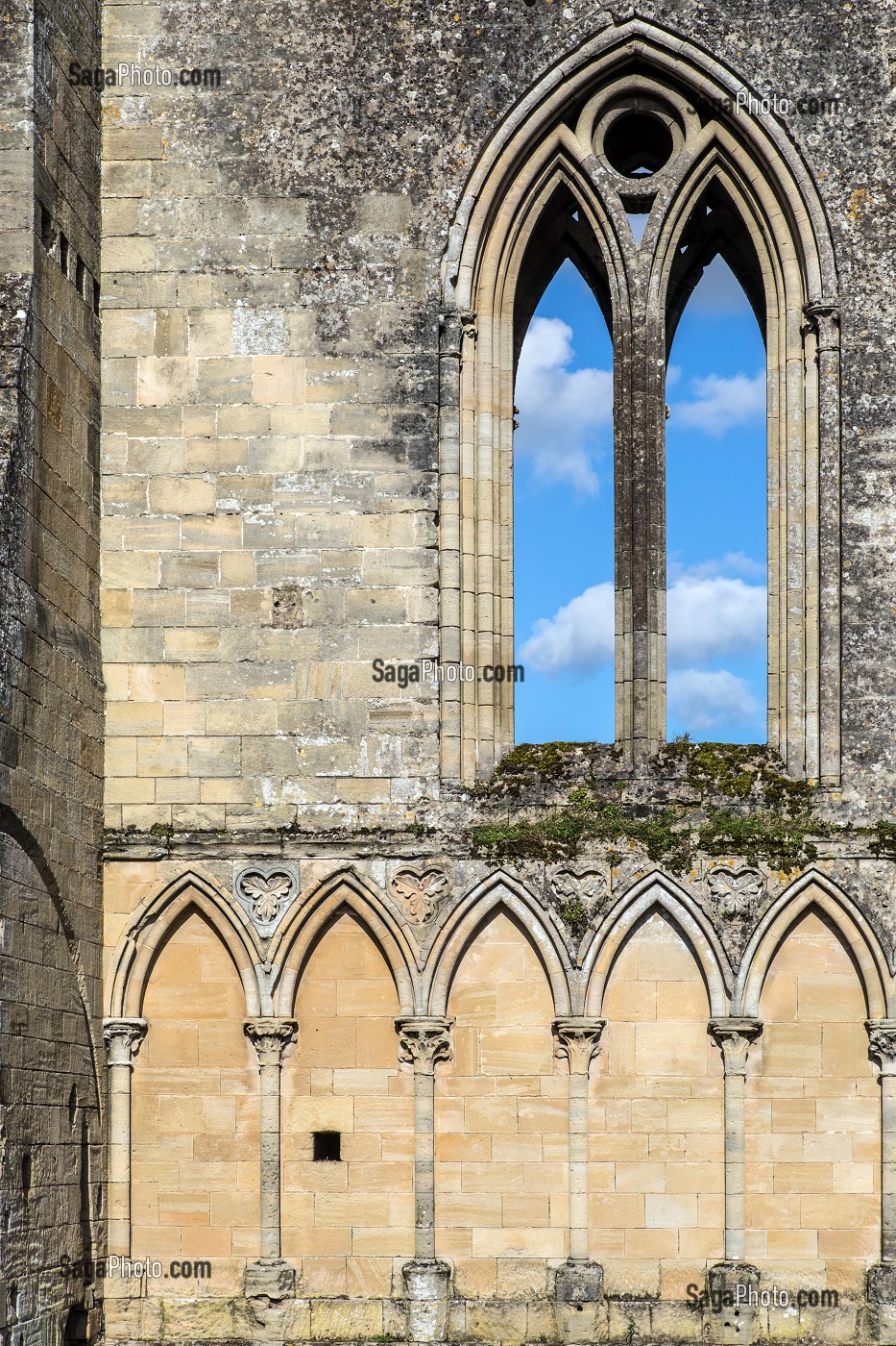 ABBAYE SAINT-VIGOR DU XI EME SIECLE DE CERISY-LA-FORET (50), FRANCE 