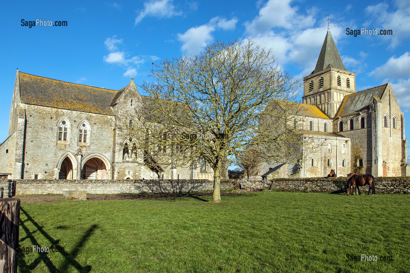 ABBAYE SAINT-VIGOR DU XI EME SIECLE DE CERISY-LA-FORET (50), FRANCE 