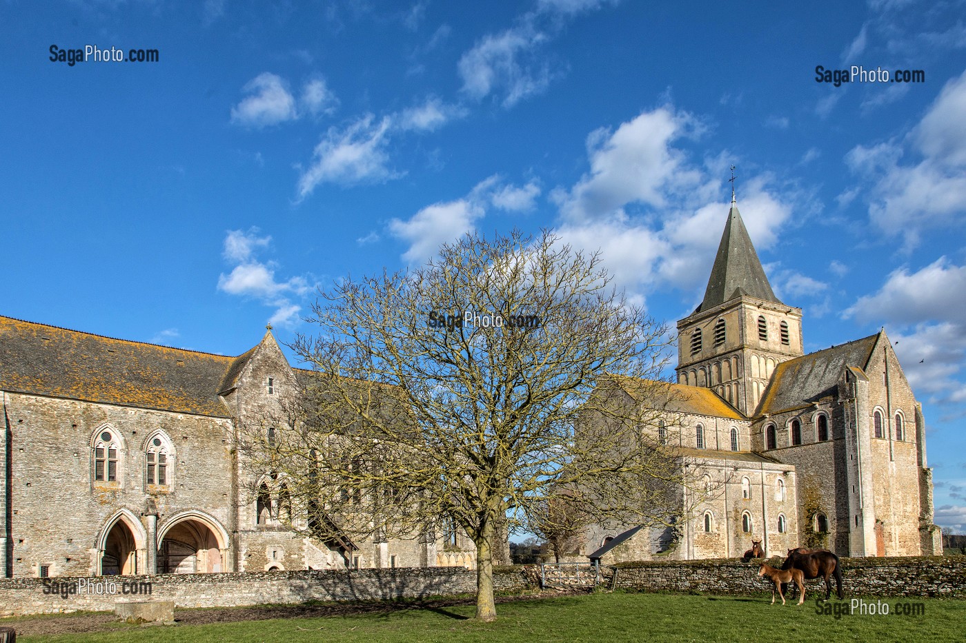 ABBAYE SAINT-VIGOR DU XI EME SIECLE DE CERISY-LA-FORET (50), FRANCE 