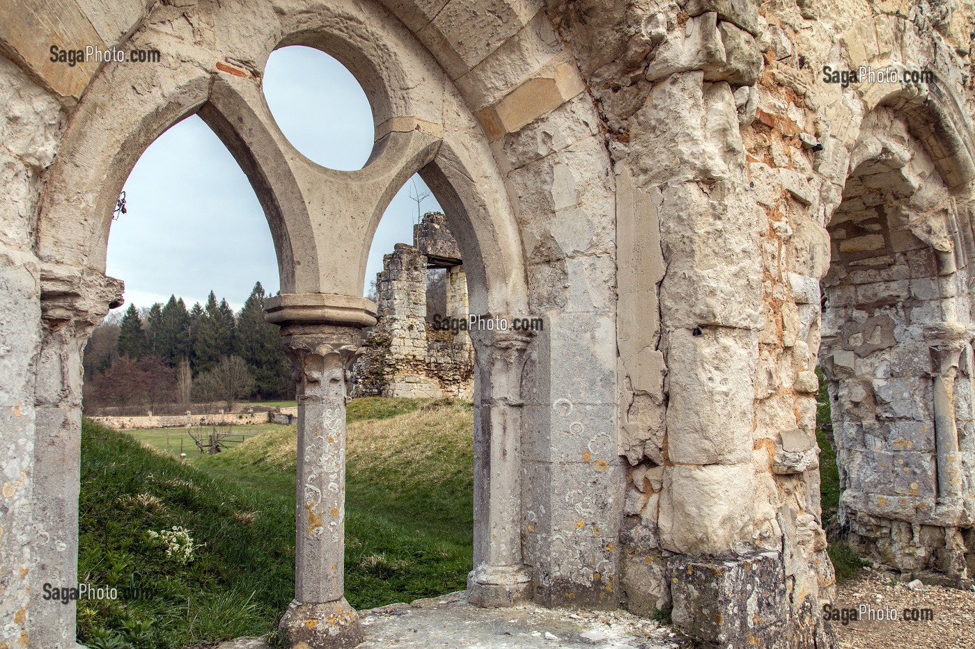 RUINES DE LA SALLE CAPITULAIRE, ABBAYE ROYALE CISTERCIENNE DE MORTEMER CONSTRUITE AU XII EME SIECLE PAR HENRI 1ER BEAUCLERC FILS DE GUILLAUME LE CONQUERANT POUR DES MOINES BENEDICTINS, LISORS (27), FRANCE 