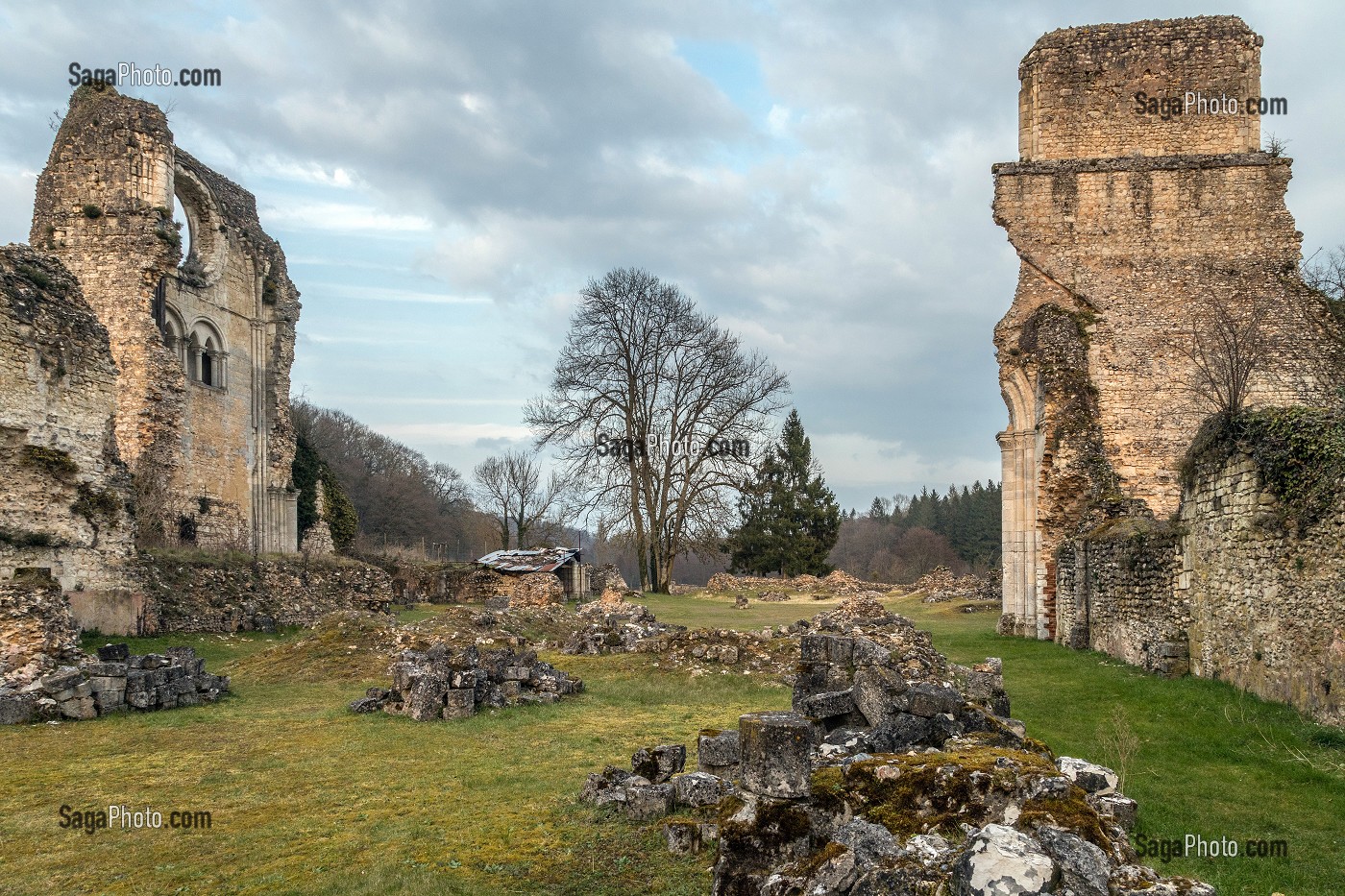 RUINES DE L'ANCIENNE EGLISE ABBATIALE, ABBAYE ROYALE CISTERCIENNE DE MORTEMER CONSTRUITE AU XII EME SIECLE PAR HENRI 1ER BEAUCLERC FILS DE GUILLAUME LE CONQUERANT POUR DES MOINES BENEDICTINS, LISORS (27), FRANCE 