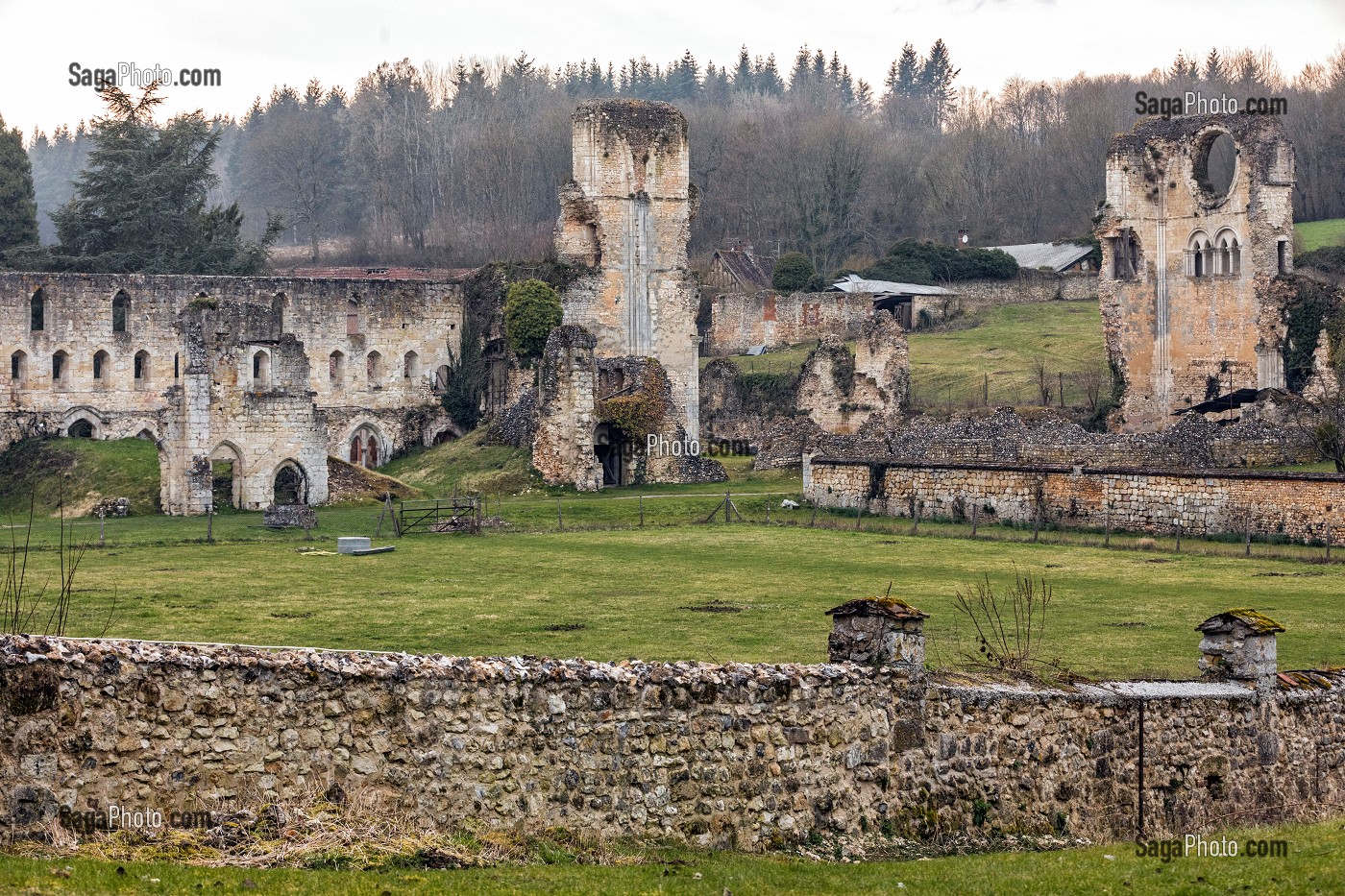 RUINES DE L'ANCIENNE EGLISE ABBATIALE, ABBAYE ROYALE CISTERCIENNE DE MORTEMER CONSTRUITE AU XII EME SIECLE PAR HENRI 1ER BEAUCLERC FILS DE GUILLAUME LE CONQUERANT POUR DES MOINES BENEDICTINS, LISORS (27), FRANCE 