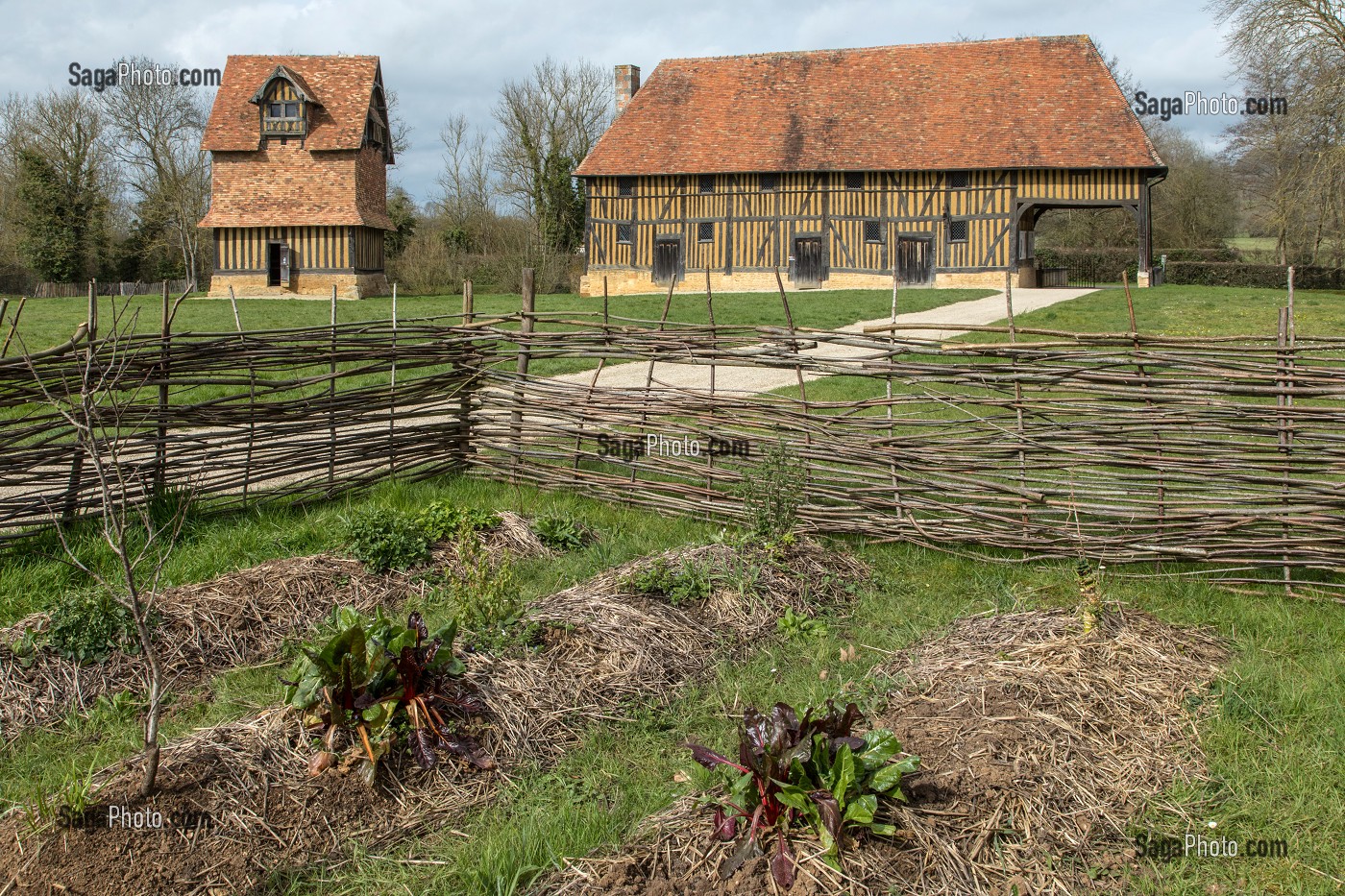 JARDIN DES SIMPLES, FERME ET COLOMBIER DU XV ET XVI EME SIECLE, CHATEAU DE CREVECOEUR, CREVECOEUR-EN-AUGE (14), FRANCE 