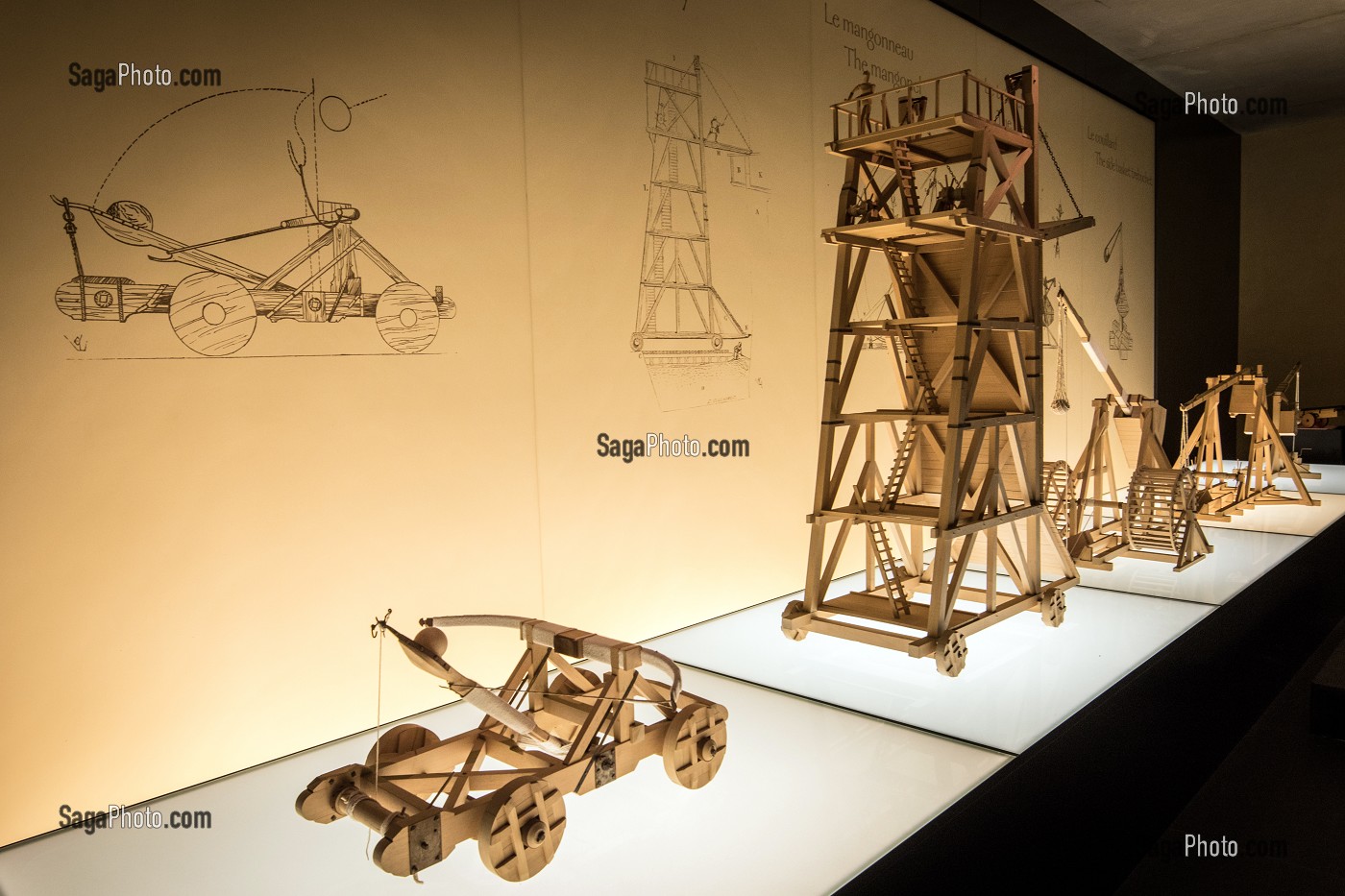 SALLE DES MAQUETTE, CHATEAU GUILLAUME-LE-CONQUERANT DU XII ET XIII EME SIECLE, FALAISE (14), FRANCE 