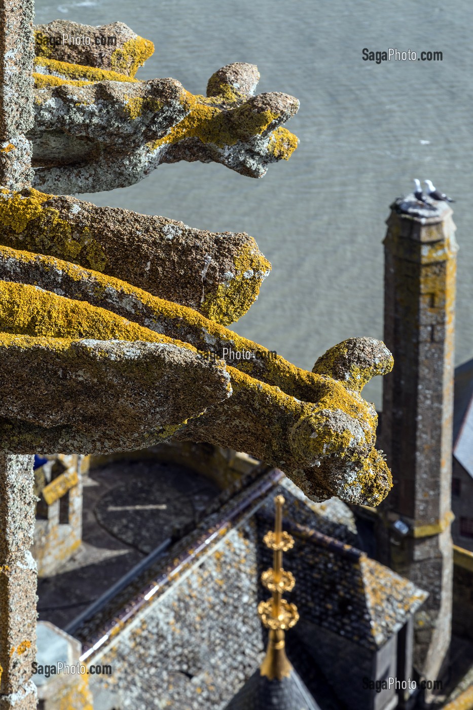 LES GARGOUILLES A L'EXTERIEUR DU CHOEUR GOTHIQUE, ABBAYE DU MONT-SAINT-MICHEL (50), FRANCE 