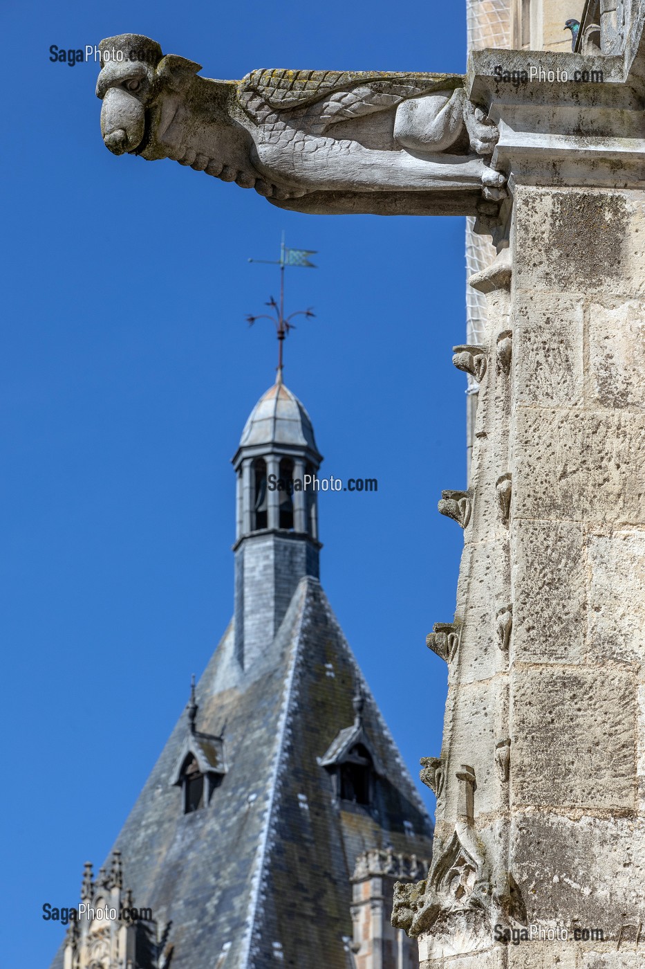 DETAIL D'UNE GARGOUILLE AVEC LE TOIT DU BEFFROI, EGLISE SAINT-PIERRE SUR LA PLACE METEZEAU, VILLE DE DREUX, EURE-ET-LOIR (28), FRANCE 