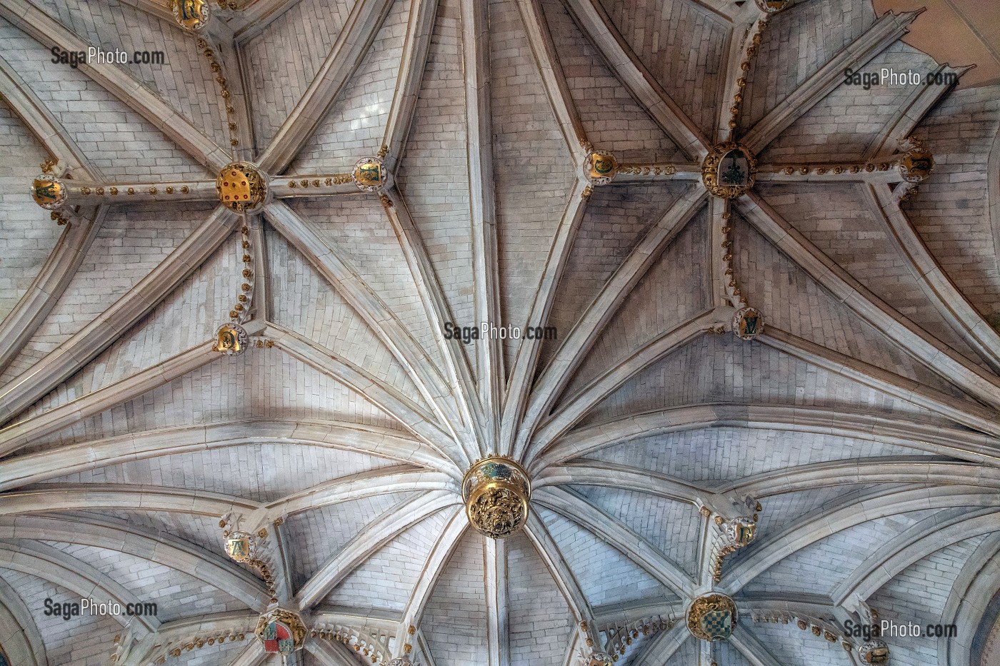 CLE DE VOUTE PENDANTE DU PLAFOND DE LA SALLE BASSE DU REZ-DE-CHAUSSEE, BEFFROI, ANCIEN HOTEL DE VILLE DU XVI EME SIECLE FINI EN 1537, VILLE DE DREUX, EURE-ET-LOIR (28), FRANCE 