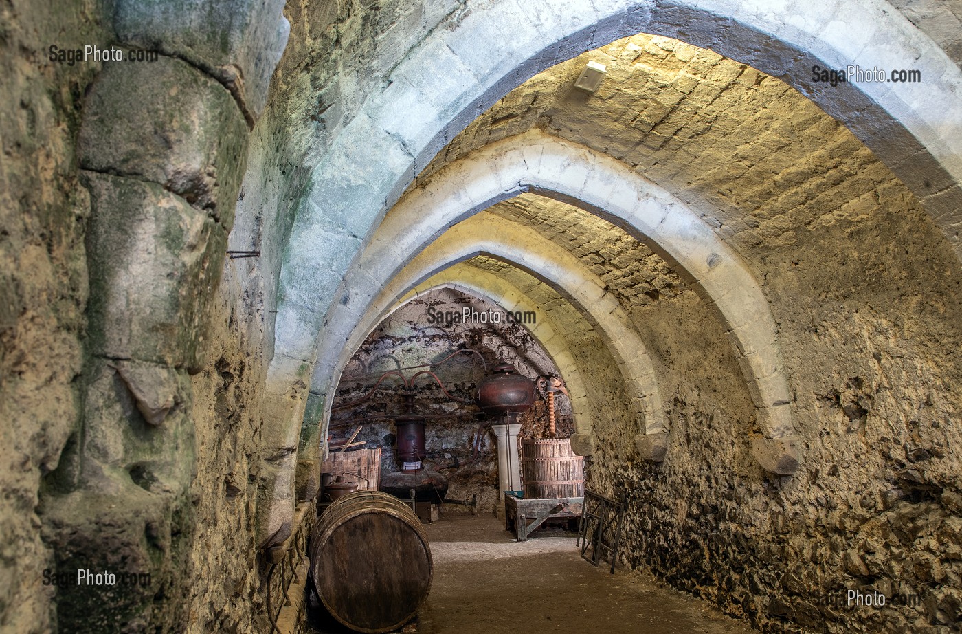 ANCIENNE CAVE DU PRIEURE, XII EME SIECLE, ECOMUSEE DES VIGNERONS ET ARTISANS DROUAIS, FLORA GALLICA, DREUX, EURE-ET-LOIR (28), FRANCE 