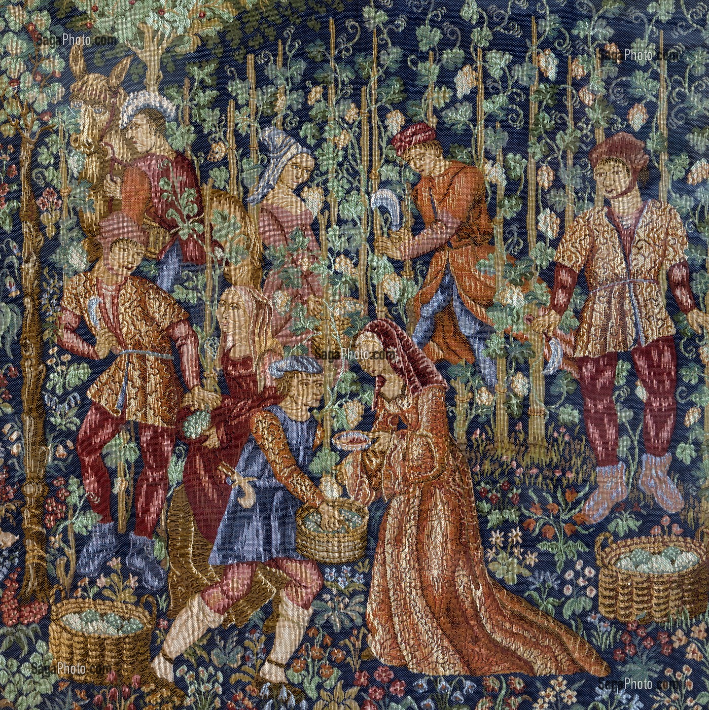 TAPISSERIE REPRESENTANT LES VENDANGES D'APRES UN ORIGINAL DU XVI EME SIECLE, ECOMUSEE DES VIGNERONS ET ARTISANS DROUAIS, FLORA GALLICA, DREUX, EURE-ET-LOIR (28), FRANCE 