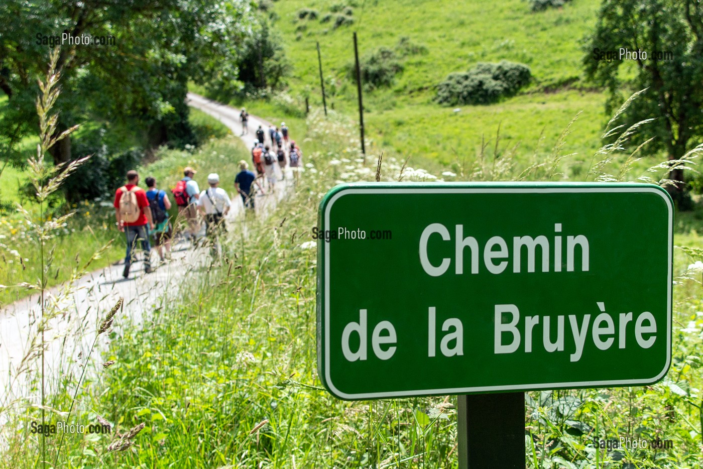 RANDONNEURS SUR LE CHEMIN DE LA BRUYERE, CLECY (14), SUISSE NORMANDE, FRANCE 