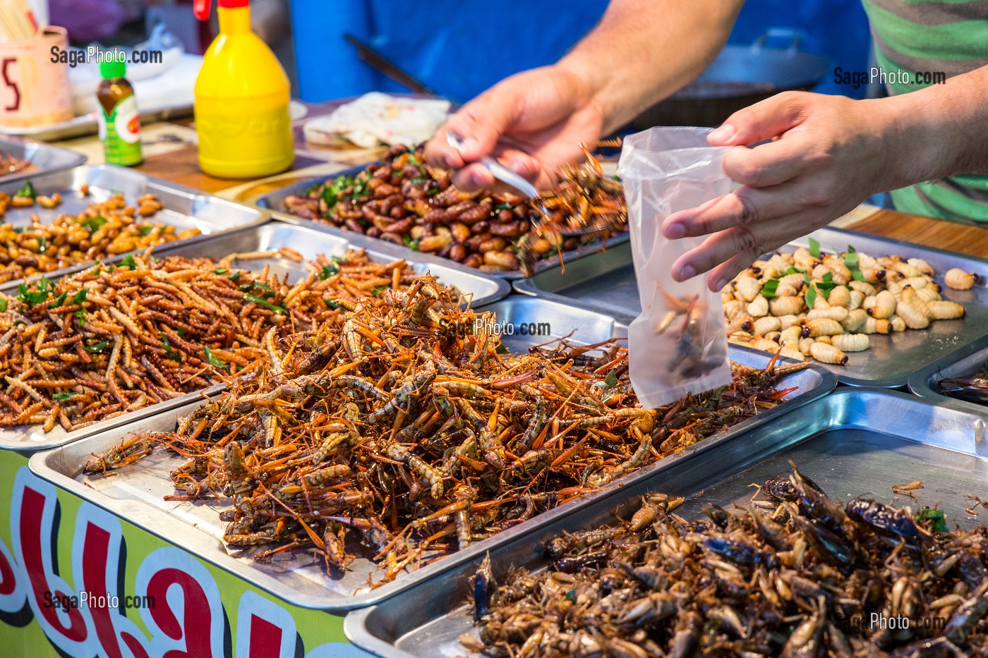 ETALAGE D'INSECTES GRILLES (VERS A SOIE, SAUTERELLE, GRILLONS, CIGALES), MARCHE DE NUIT, BANG SAPHAN, PROVINCE DE PRACHUAP KHIRI KHAN, THAILANDE 