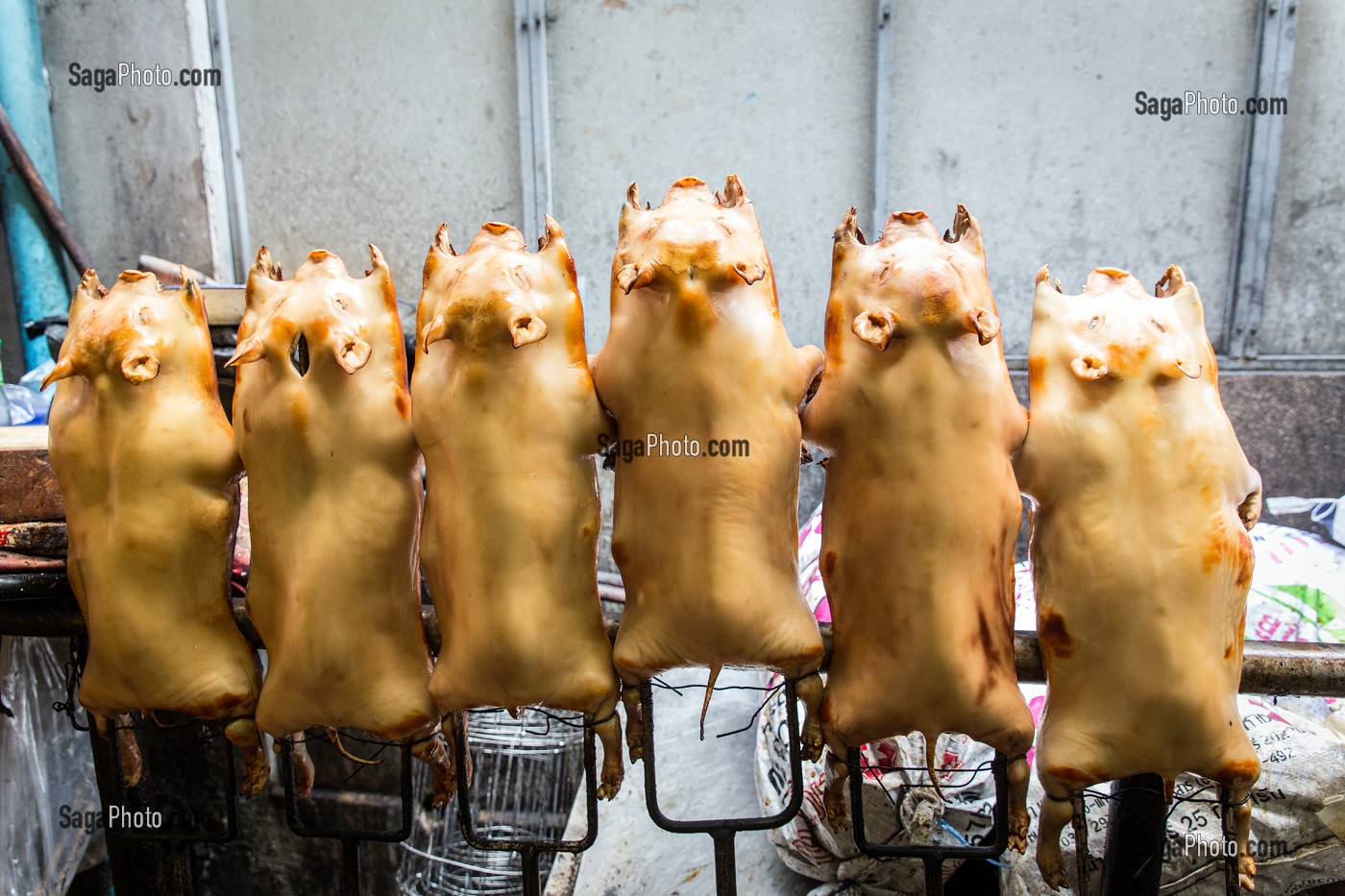 COCHONS BLANCS GRILLES SUR BROCHES, SPECIALITE THAILANDAISE, SCENE DE RUE, VILLE DE BANGKOK, THAILANDE 