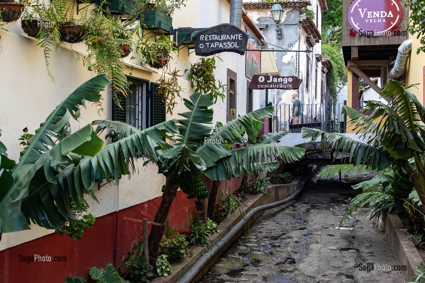 PASSAGE POUR L'EVACUATION DES EAUX DE PLUIE, RUA DON CARLOS I, SCENE DE RUE, FUNCHAL, ILE DE MADERE, PORTUGAL 