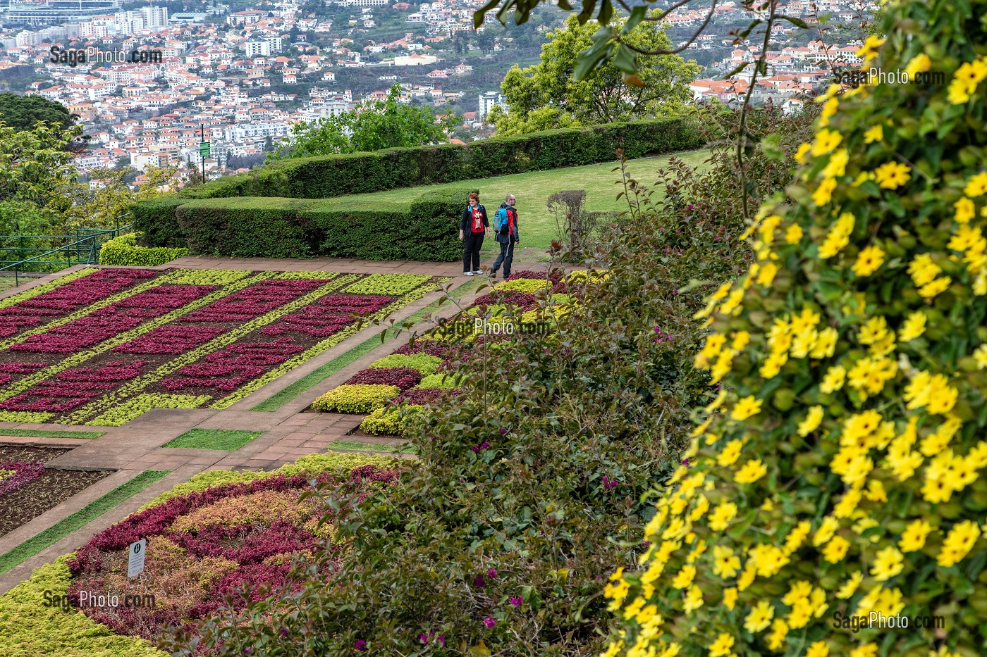 PARTERRE DE FLEURS, FORMES GEOMETRIQUES, JARDIN BOTANIQUE DE MADEIRA, FUNCHAL, ILE DE MADERE, PORTUGAL 