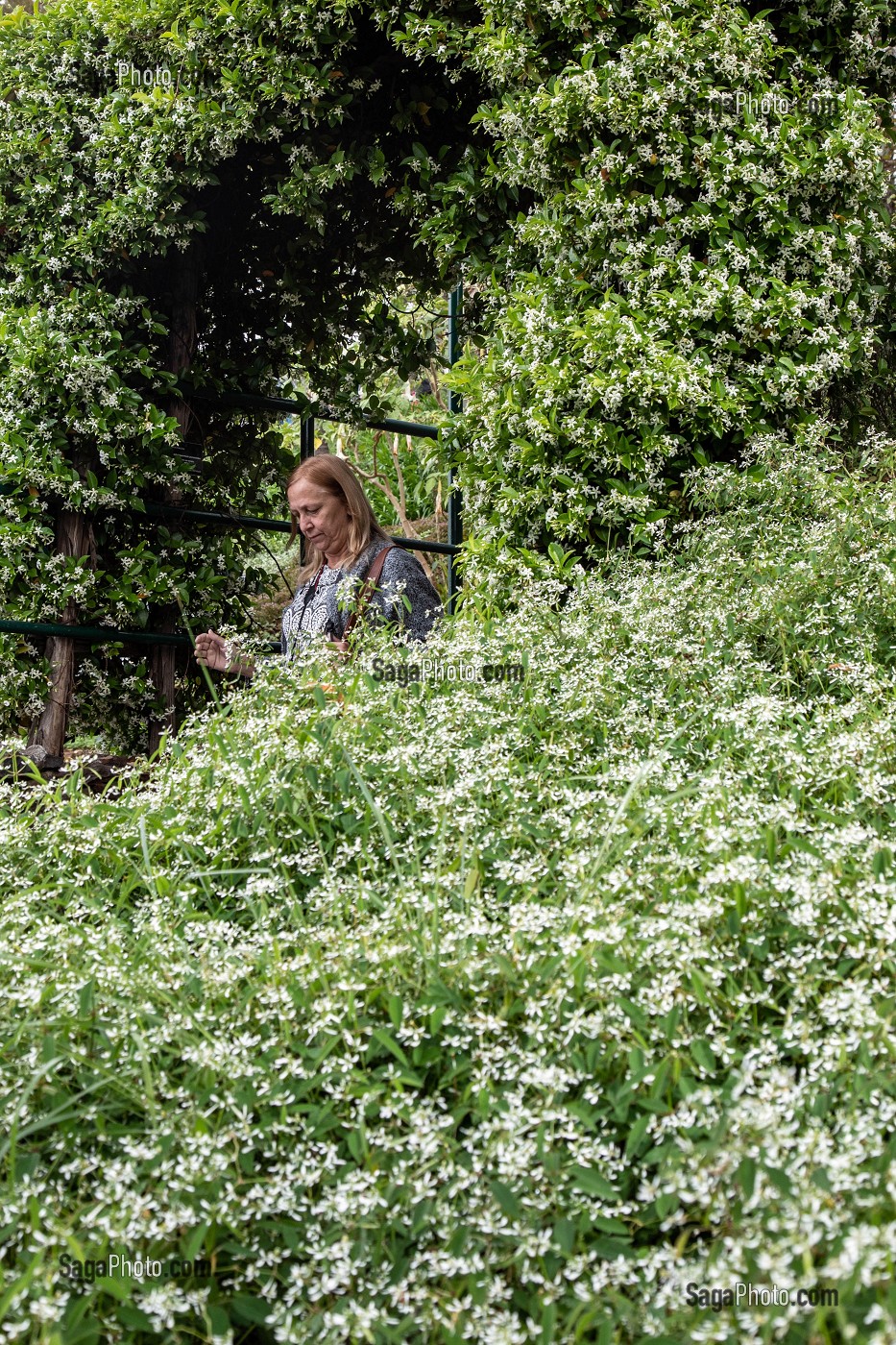 FEMME SE PROMENANT DANS LA NATURE, JARDIN BOTANIQUE DE MADEIRA, FUNCHAL, ILE DE MADERE, PORTUGAL 