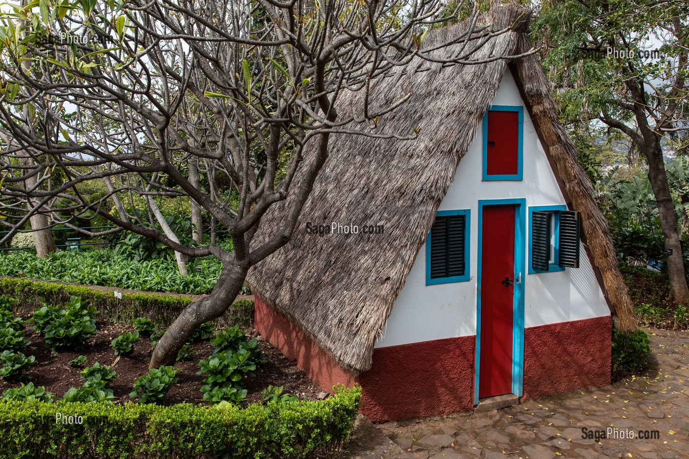 MAISON TRADITIONNELLE TRIANGULAIRE, JARDIN BOTANIQUE DE MADEIRA, FUNCHAL, ILE DE MADERE, PORTUGAL 