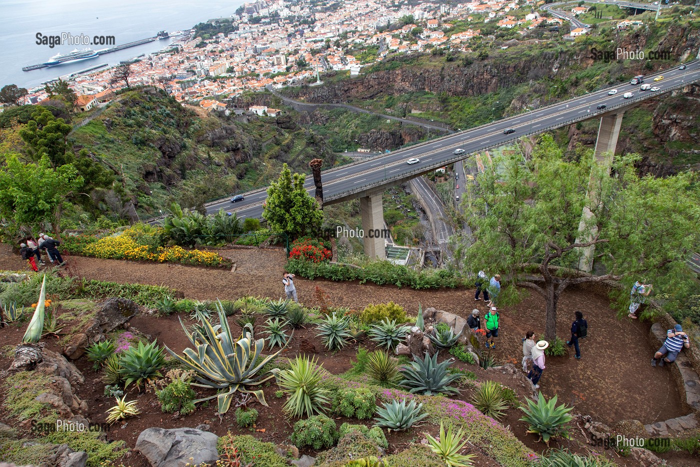 VUE AERIENNE, JARDIN BOTANIQUE DE MADEIRA, FUNCHAL, ILE DE MADERE, PORTUGAL 