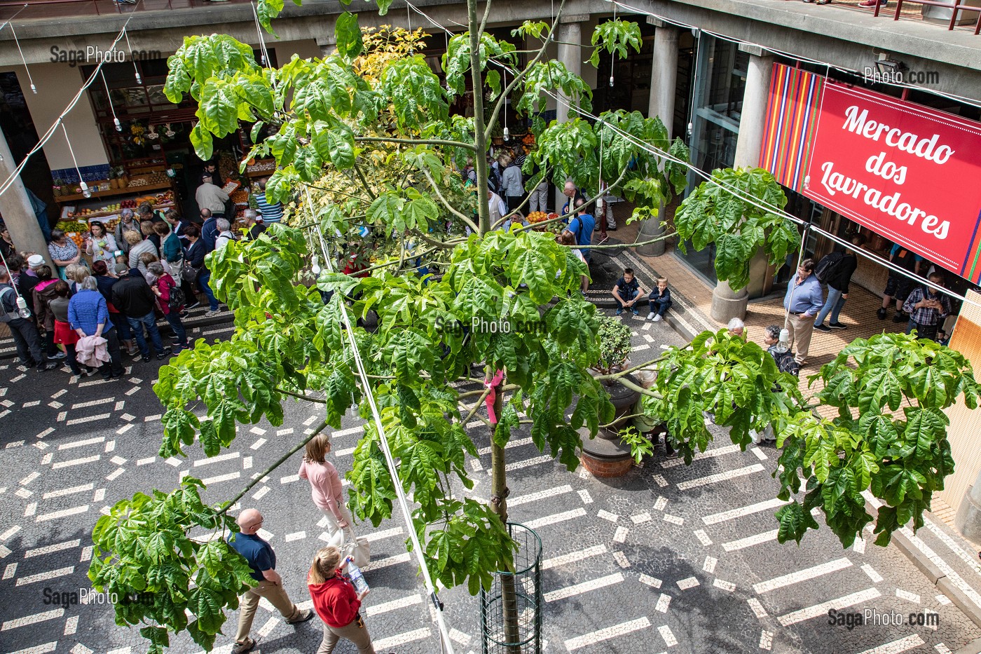 MARCHE COUVERT, MERCADO LAVRADORES, FUNCHAL, ILE DE MADERE, PORTUGAL 