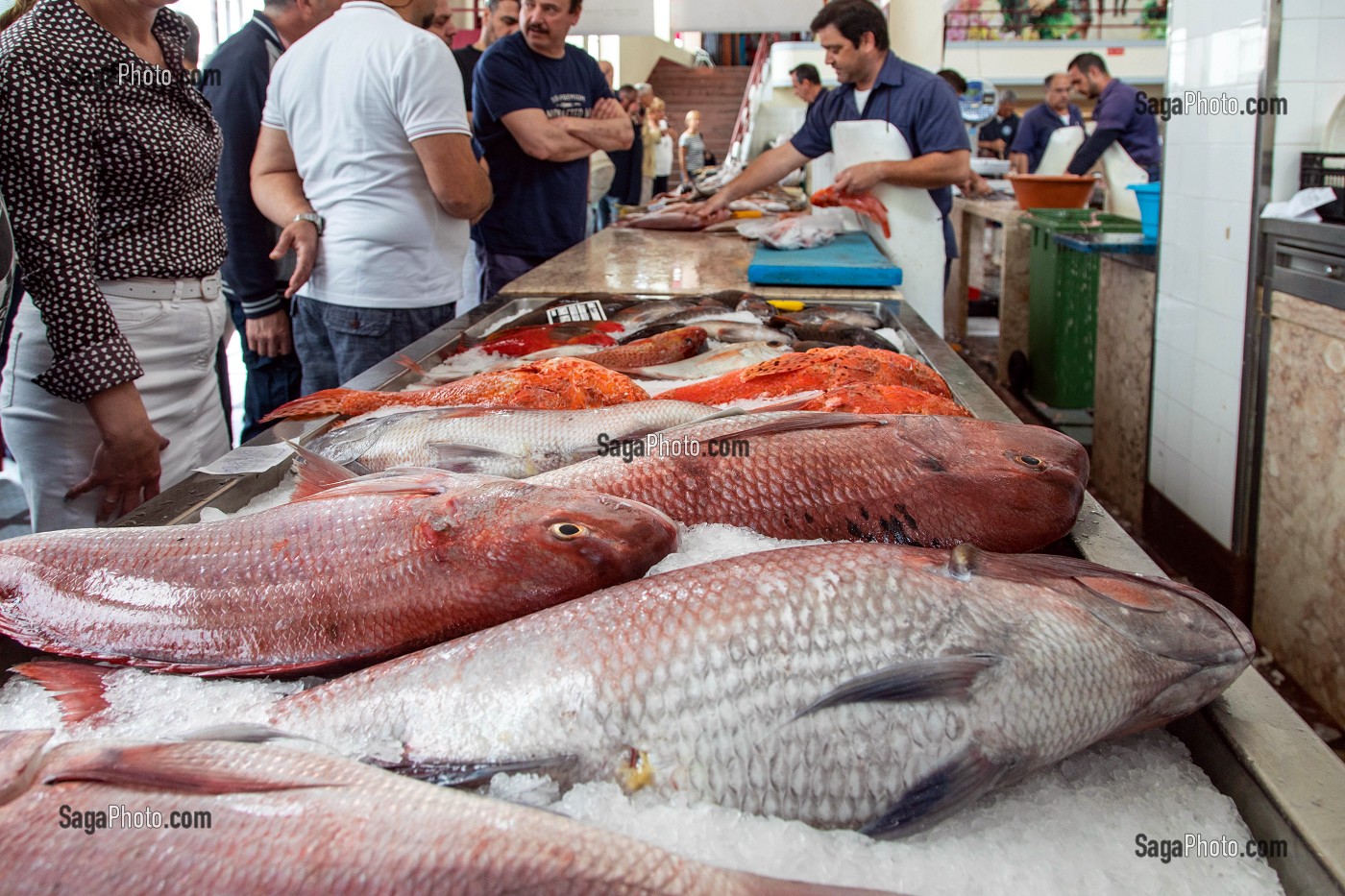 DORADES ROYALES, MARCHE AUX POISSONS, MERCADO LAVRADORES, FUNCHAL, ILE DE MADERE, PORTUGAL 