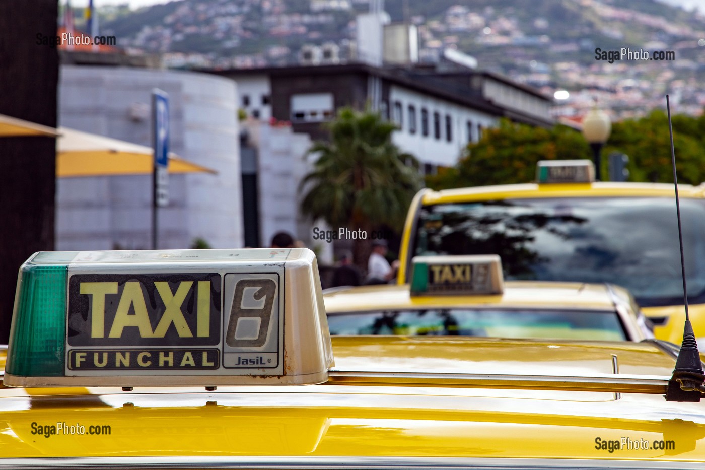TAXI PORTUGAIS, TAXI JAUNE, FUNCHAL, ILE DE MADERE, PORTUGAL 