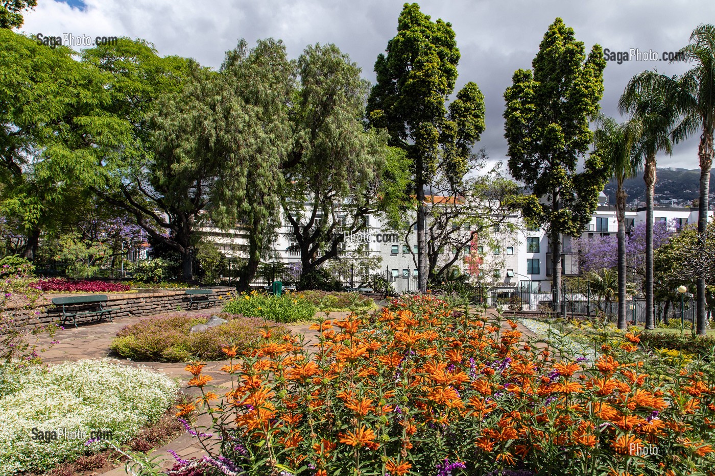 PARC DE SANTA CATARINA, FUNCHAL, ILE DE MADERE, PORTUGAL 