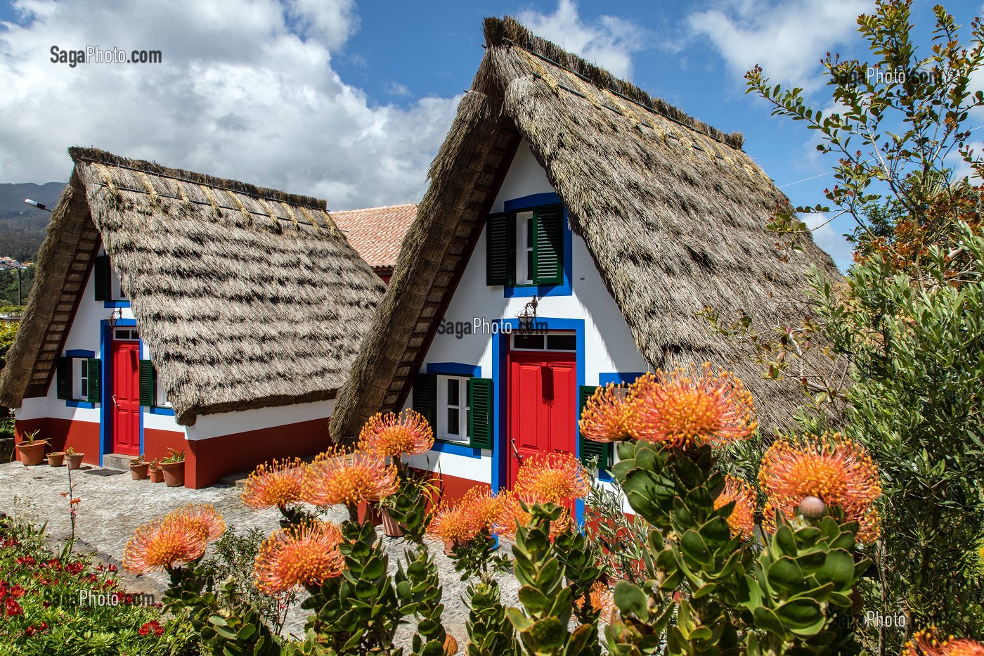 MAISONS TRADITIONNELLES AUX TOITS DE CHAUME, CASAS DE SANTANA, ILE DE MADERE, PORTUGAL 