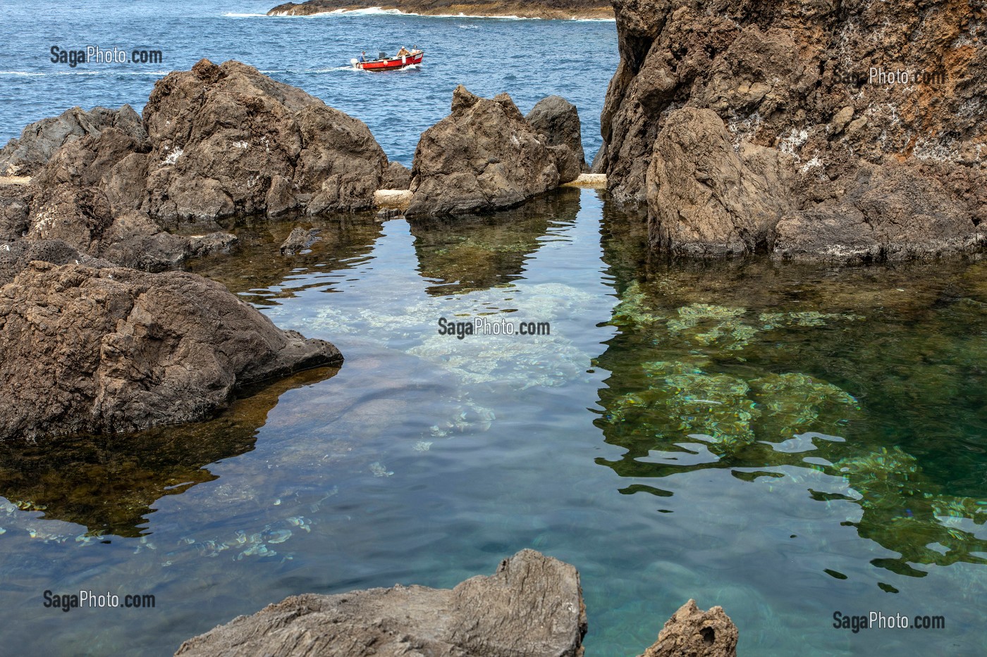 BAIGNEURS, PISCINES NATURELLES DANS LA ROCHE VOLCANIQUE, PORTO MONIZ, ILE DE MADERE, PORTUGAL 