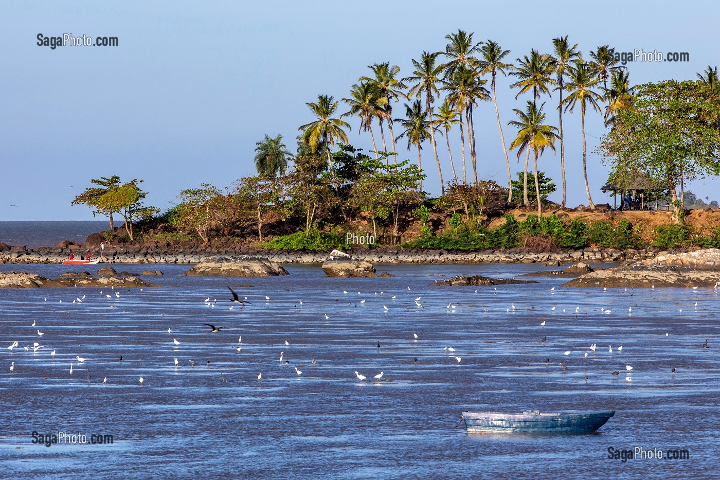 POINTE BUZARE ET ANSE NADAU, VUE DE LA PLACE DES AMANDIERS, CAYENNE, GUYANE FRANCAISE, DEPARTEMENT-REGION D'OUTRE-MER, AMERIQUE DU SUD, FRANCE 