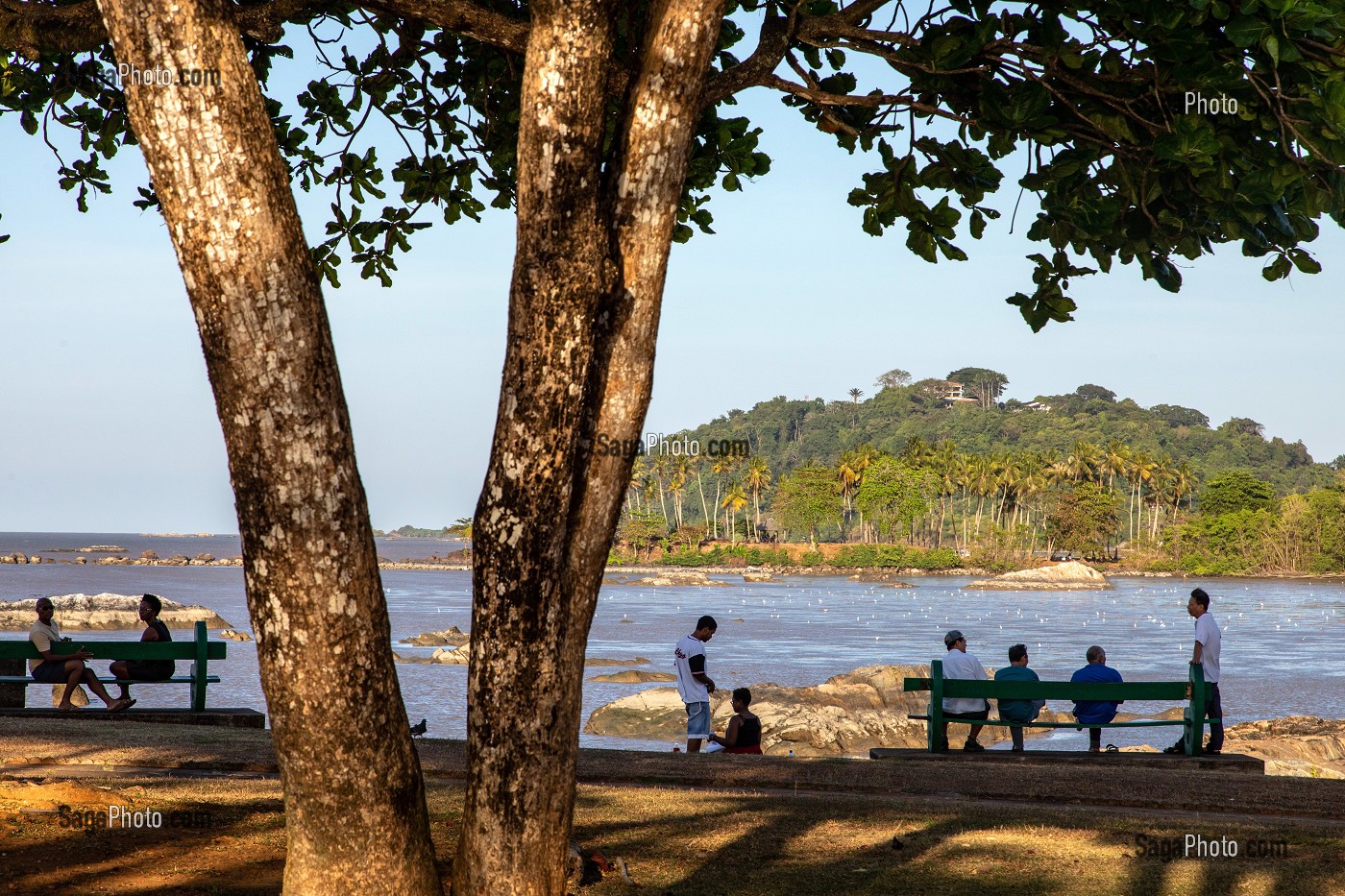 PLACE DES AMANDIERS, CAYENNE, GUYANE FRANCAISE, DEPARTEMENT-REGION D'OUTRE-MER, AMERIQUE DU SUD, FRANCE 