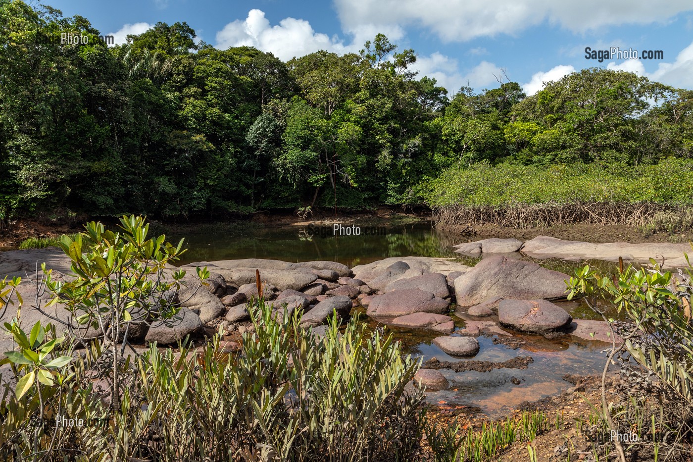 CRIQUE PATATE, MACOURIA, GUYANE FRANCAISE, DEPARTEMENT-REGION D'OUTRE-MER, AMERIQUE DU SUD, FRANCE 