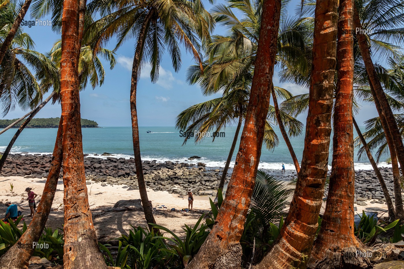 PLAGE ET PALMIERS DE L'ILE SAINT-JOSEPH ABRITANT L'ANCIEN BAGNE, ILE DU SALUT, KOUROU, GUYANE FRANCAISE, DEPARTEMENT-REGION D'OUTRE-MER, AMERIQUE DU SUD, FRANCE 