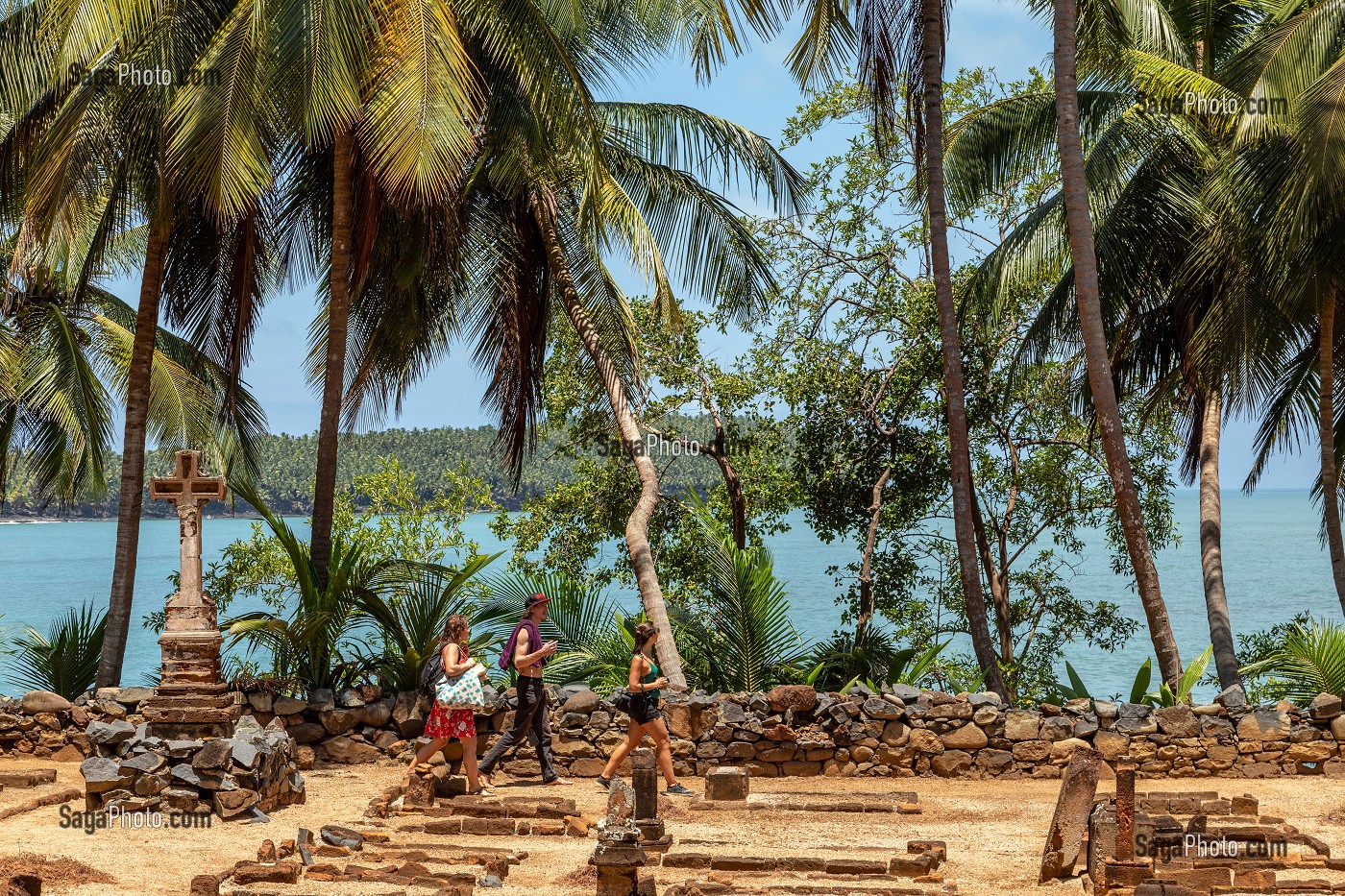 CIMETIERE ET PALMIERS DE L'ILE SAINT-JOSEPH ABRITANT L'ANCIEN BAGNE, ILE DU SALUT, KOUROU, GUYANE FRANCAISE, DEPARTEMENT-REGION D'OUTRE-MER, AMERIQUE DU SUD, FRANCE 