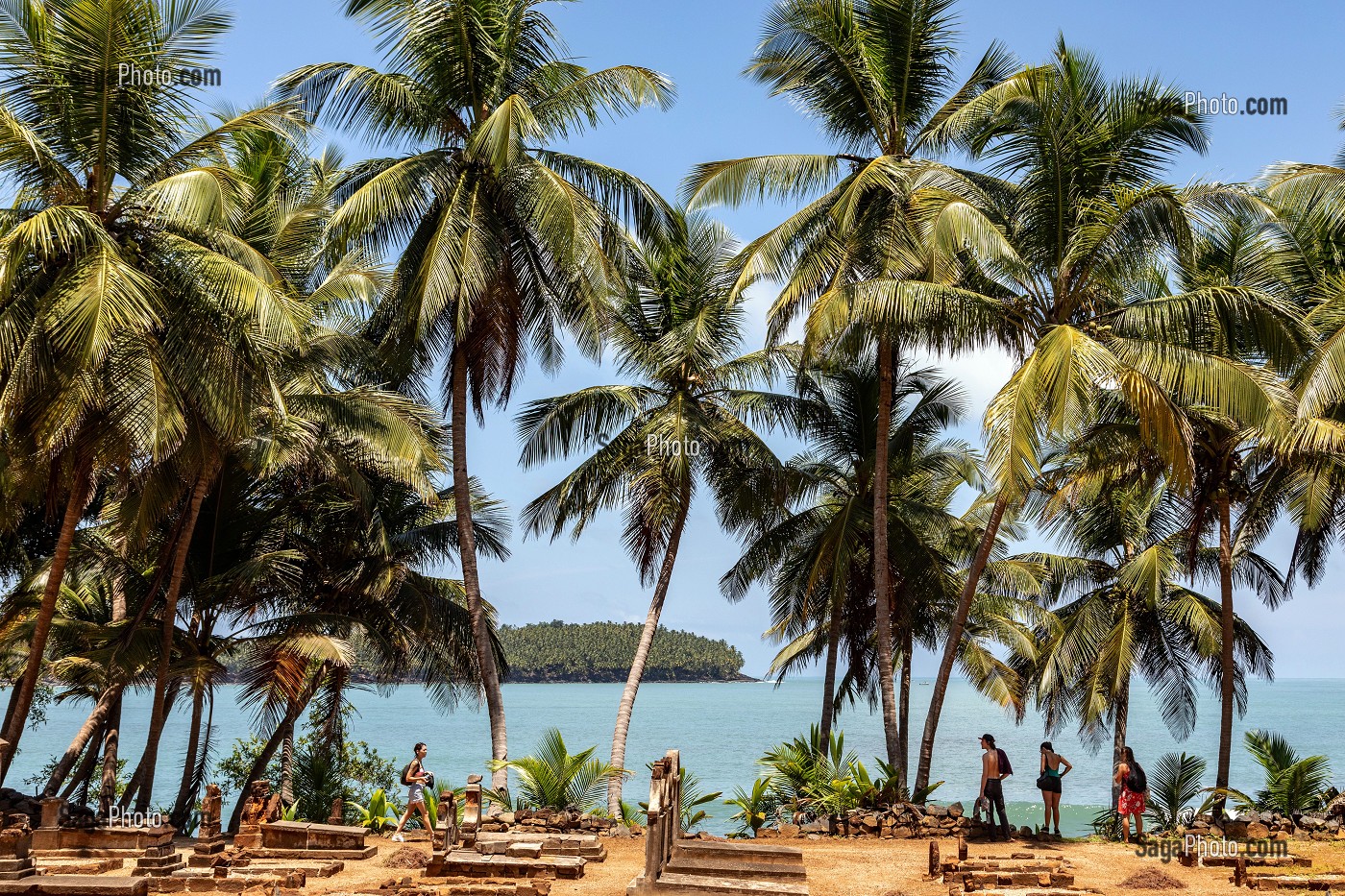 CIMETIERE ET PALMIERS DE L'ILE SAINT-JOSEPH ABRITANT L'ANCIEN BAGNE, ILE DU SALUT, KOUROU, GUYANE FRANCAISE, DEPARTEMENT-REGION D'OUTRE-MER, AMERIQUE DU SUD, FRANCE 