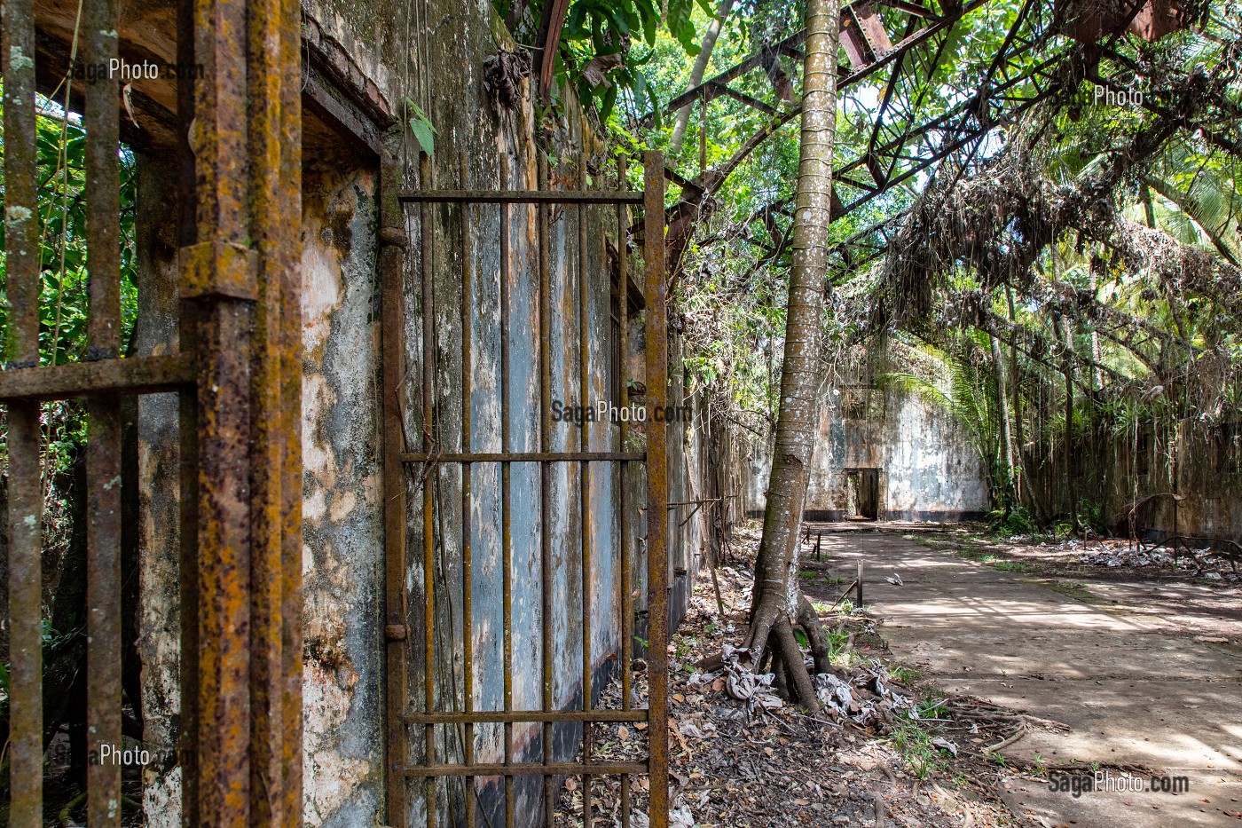 VESTIGES ABANDONNES DE L'ANCIEN BAGNE DE L'ILE SAINT-JOSEPH, ILE DU SALUT, KOUROU, GUYANE FRANCAISE, DEPARTEMENT-REGION D'OUTRE-MER, AMERIQUE DU SUD, FRANCE 