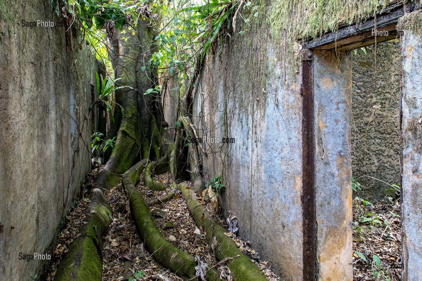 VESTIGES ABANDONNES DE L'ANCIEN BAGNE DE L'ILE SAINT-JOSEPH, ILE DU SALUT, KOUROU, GUYANE FRANCAISE, DEPARTEMENT-REGION D'OUTRE-MER, AMERIQUE DU SUD, FRANCE 