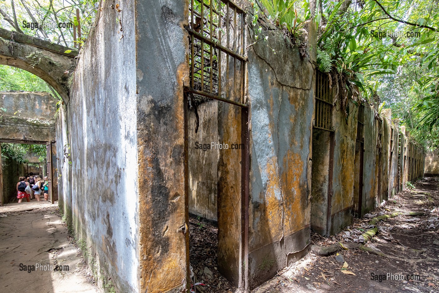 CELLULES DES PRISONNIERS, VESTIGES ABANDONNES DE L'ANCIEN BAGNE DE L'ILE SAINT-JOSEPH, ILE DU SALUT, KOUROU, GUYANE FRANCAISE, DEPARTEMENT-REGION D'OUTRE-MER, AMERIQUE DU SUD, FRANCE 