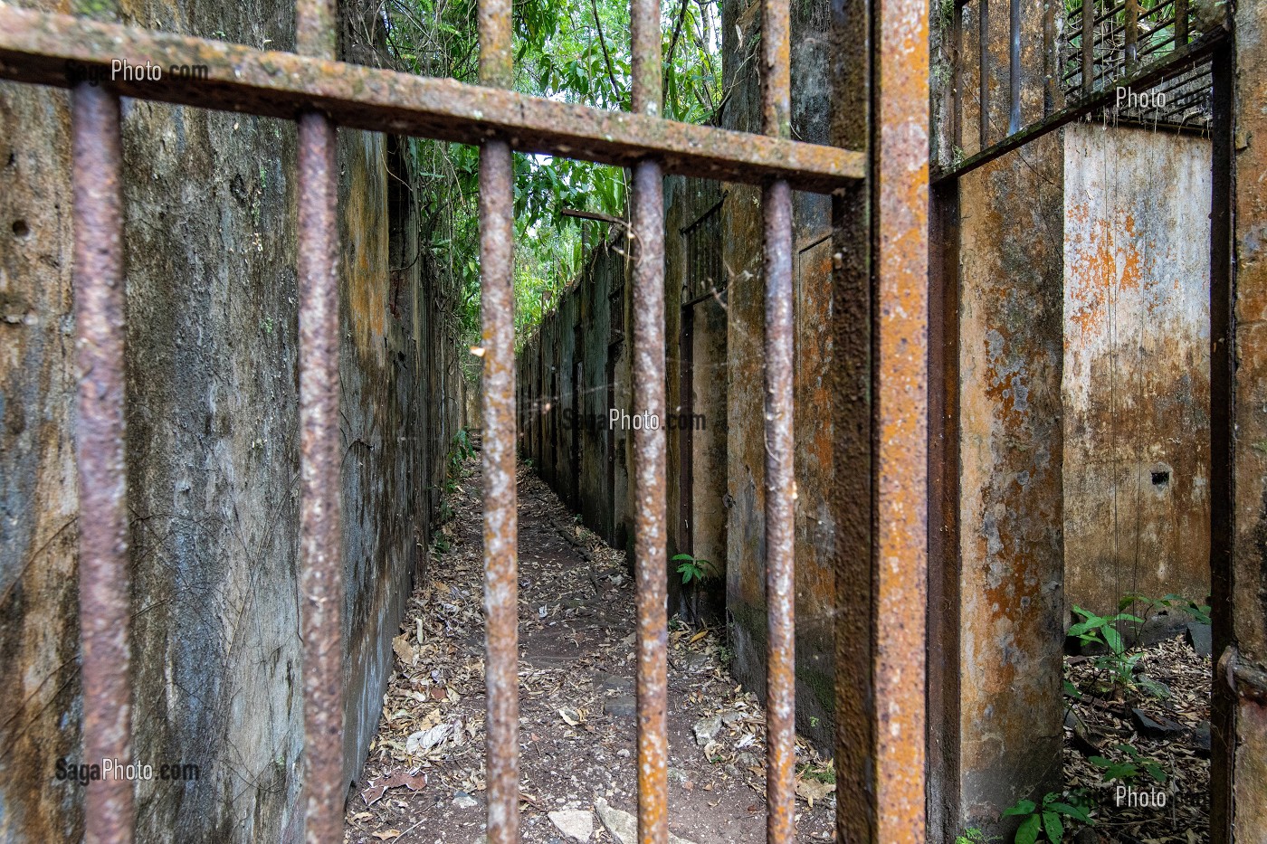 CELLULES DES PRISONNIERS, VESTIGES ABANDONNES DE L'ANCIEN BAGNE DE L'ILE SAINT-JOSEPH, ILE DU SALUT, KOUROU, GUYANE FRANCAISE, DEPARTEMENT-REGION D'OUTRE-MER, AMERIQUE DU SUD, FRANCE 