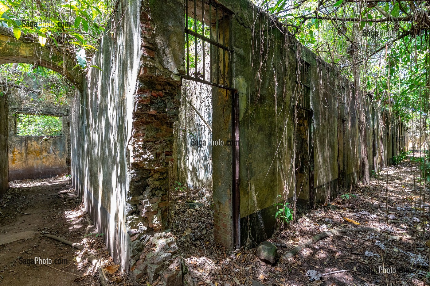 CELLULES DES PRISONNIERS, VESTIGES ABANDONNES DE L'ANCIEN BAGNE DE L'ILE SAINT-JOSEPH, ILE DU SALUT, KOUROU, GUYANE FRANCAISE, DEPARTEMENT-REGION D'OUTRE-MER, AMERIQUE DU SUD, FRANCE 