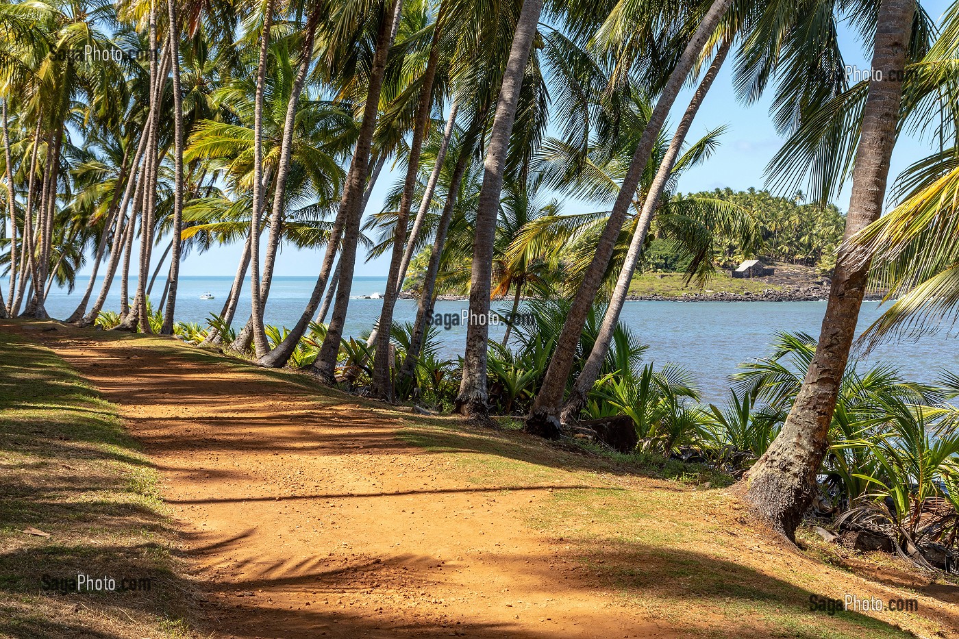 PLAGE ET PALMIERS DE L'ILE ROYALE ABRITANT L'ANCIEN BAGNE, ILE DU SALUT, KOUROU, GUYANE FRANCAISE, DEPARTEMENT-REGION D'OUTRE-MER, AMERIQUE DU SUD, FRANCE 