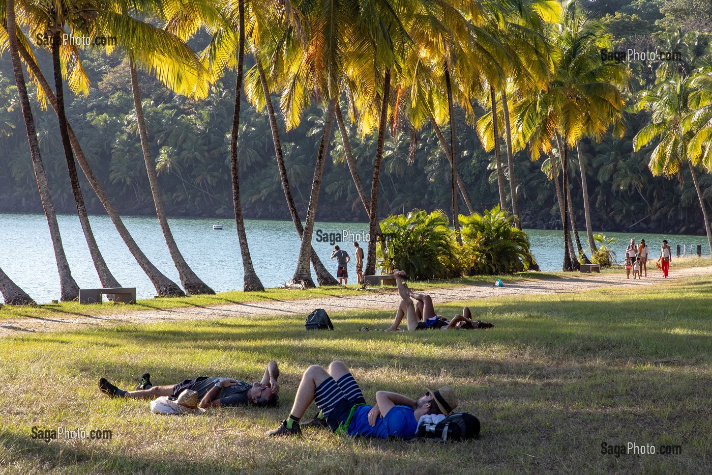 PLAGE ET PALMIERS, ILE ROYALE, ILE DU SALUT, KOUROU, GUYANE FRANCAISE, DEPARTEMENT-REGION D'OUTRE-MER, AMERIQUE DU SUD, FRANCE 