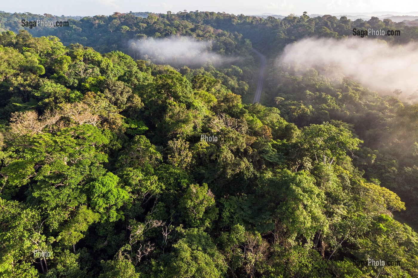 VUE SUR LA CANOPEE DE LA FORET AMAZONIENNE, ENTRE REGINA ET CACAO, GUYANE FRANCAISE, DEPARTEMENT-REGION D'OUTRE-MER, AMERIQUE DU SUD, FRANCE 